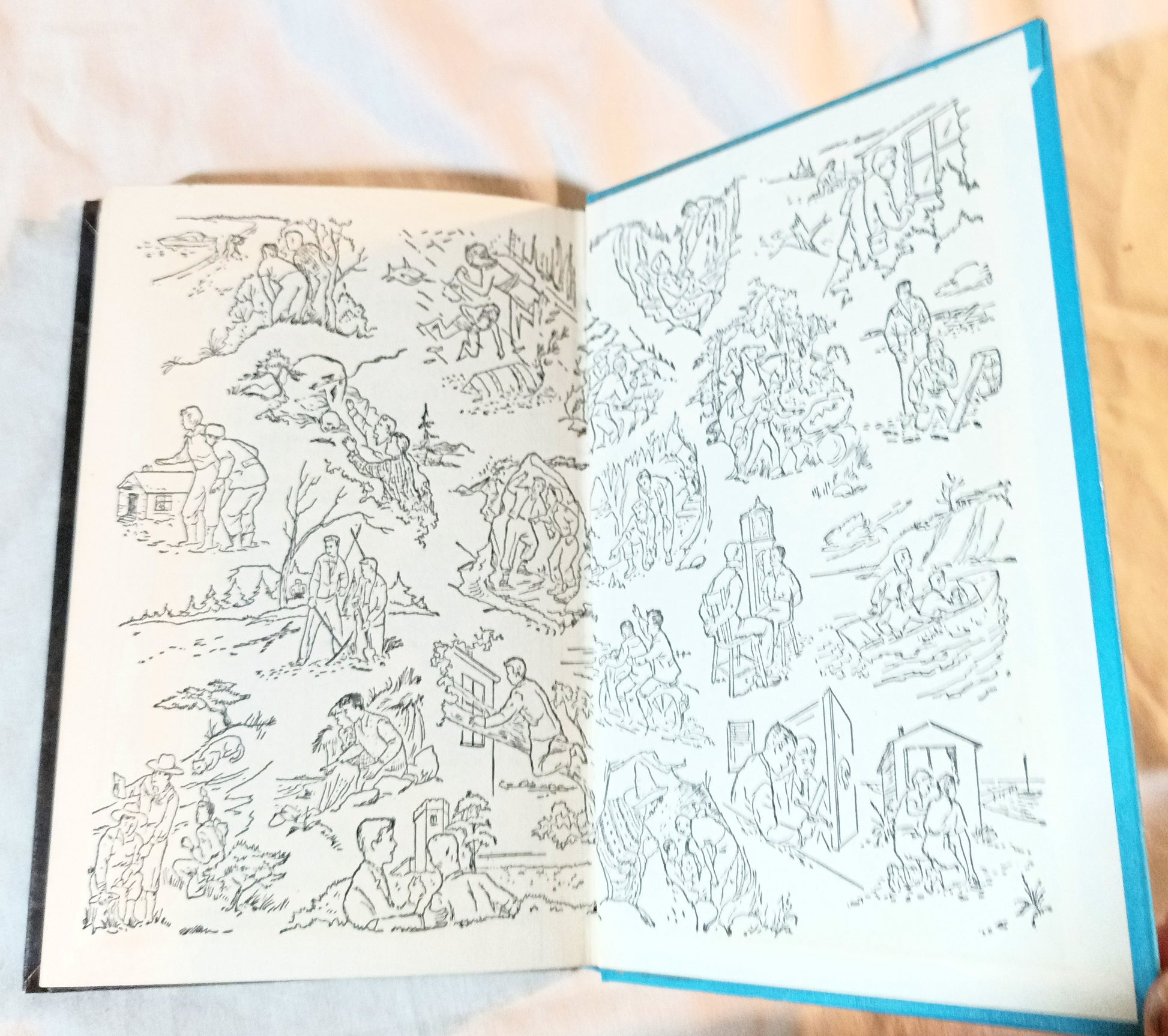 The Hardy Boys Mystery #56 The Jungle Pyramid Franklin W Dixon 1977 - TulipStuff