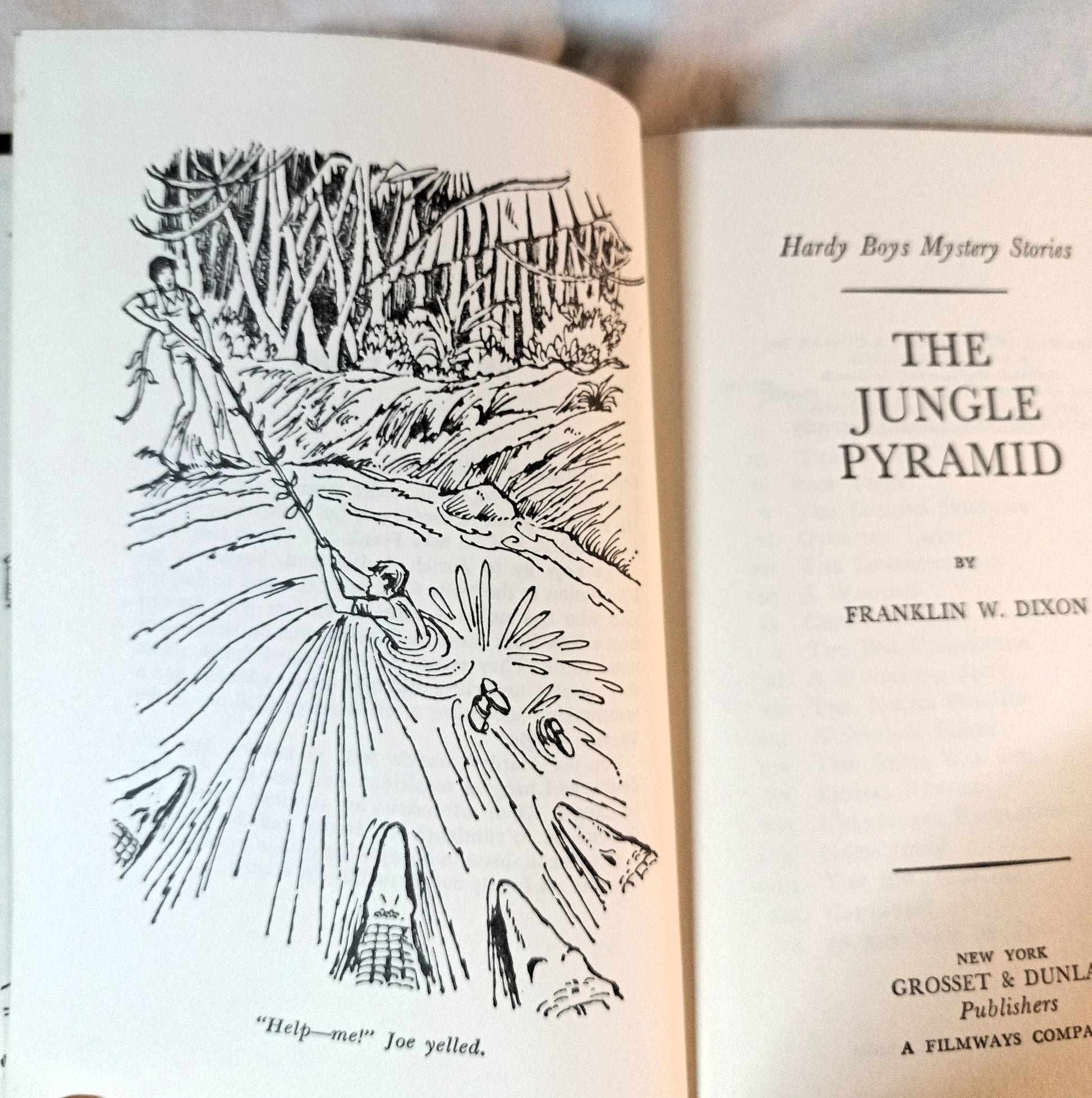 The Hardy Boys Mystery #56 The Jungle Pyramid Franklin W Dixon 1977 - TulipStuff