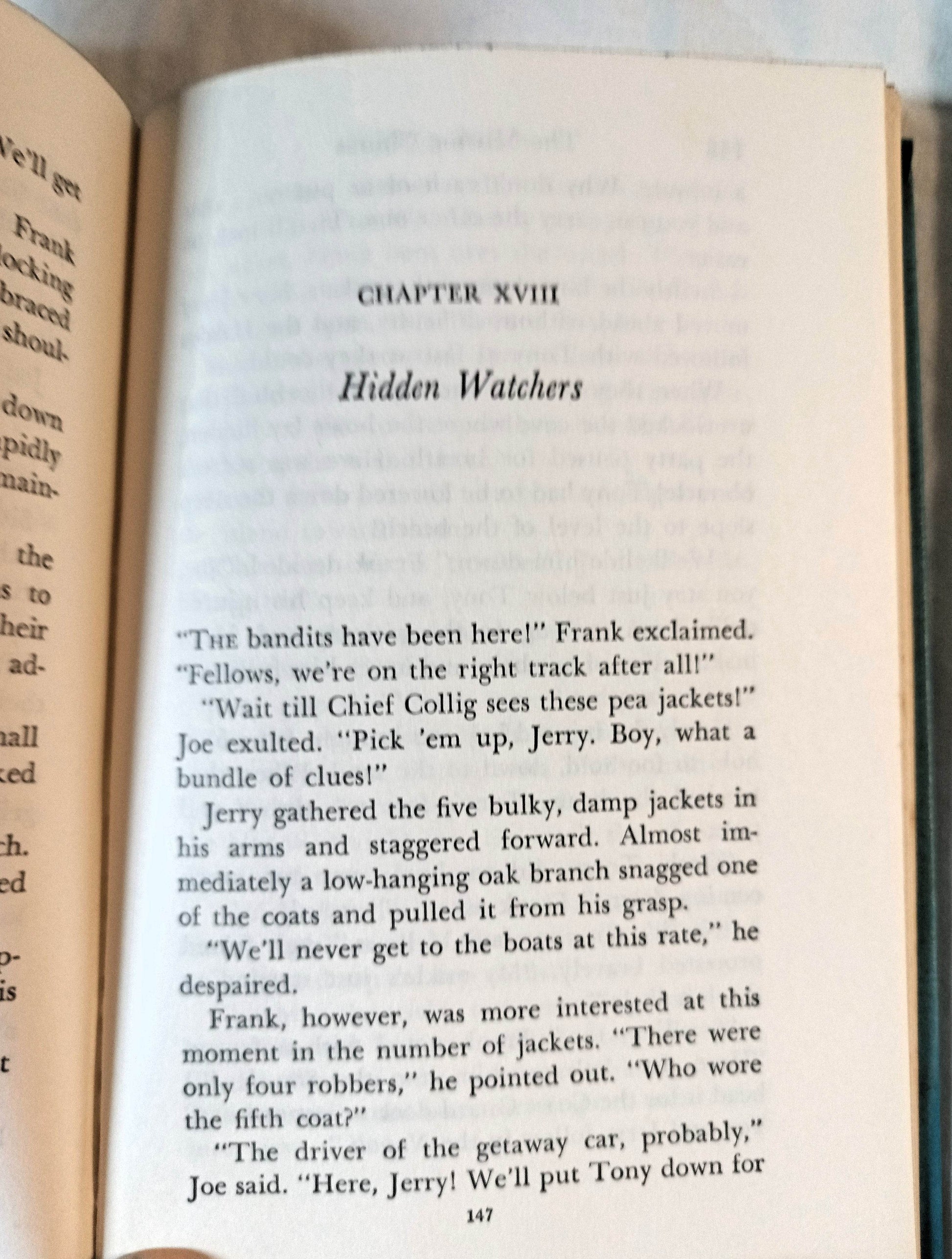 The Hardy Boys #4 The Missing Chums Franklin W Dixon 1972 - TulipStuff