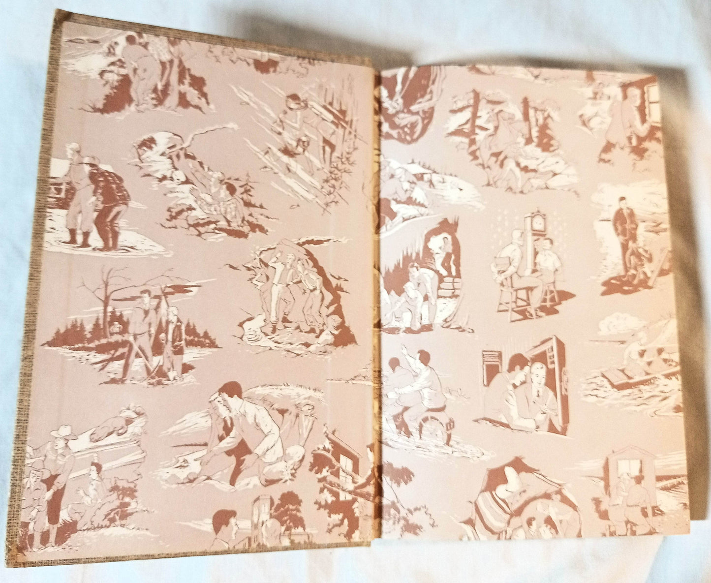 The Hardy Boys The Shore Road Mystery Franklin W Dixon 1957 - TulipStuff