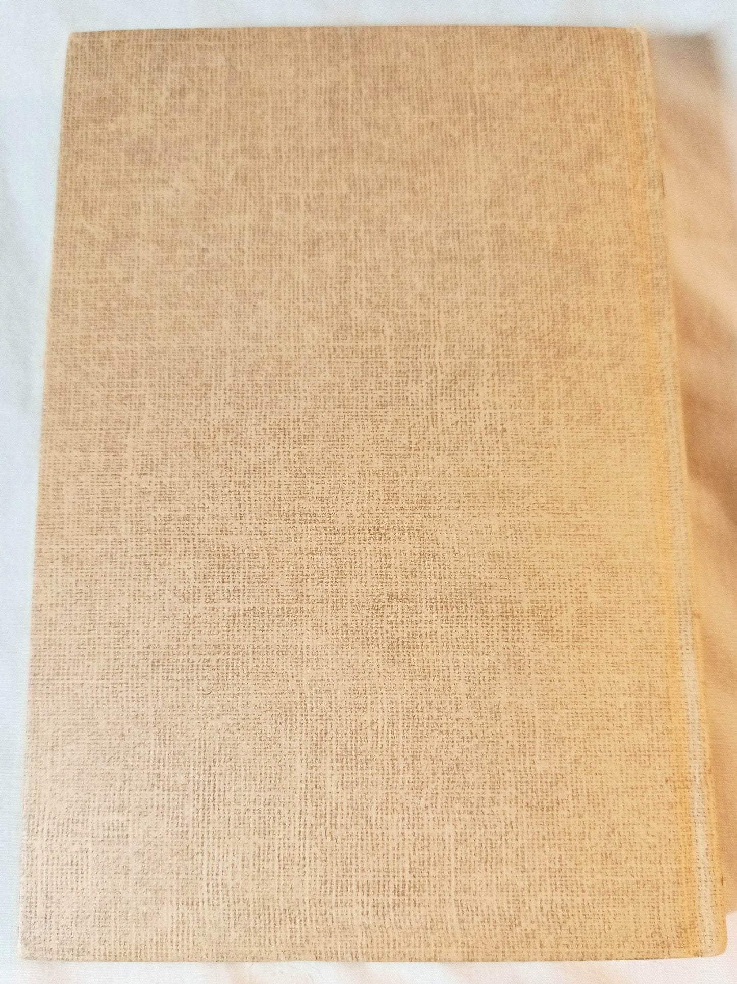 The Hardy Boys What Happened At Midnight Franklin W Dixon 1957 - TulipStuff