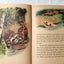 Hiawatha Marion Gridley Rand McNally Elf Book Hardcover 1962 - TulipStuff