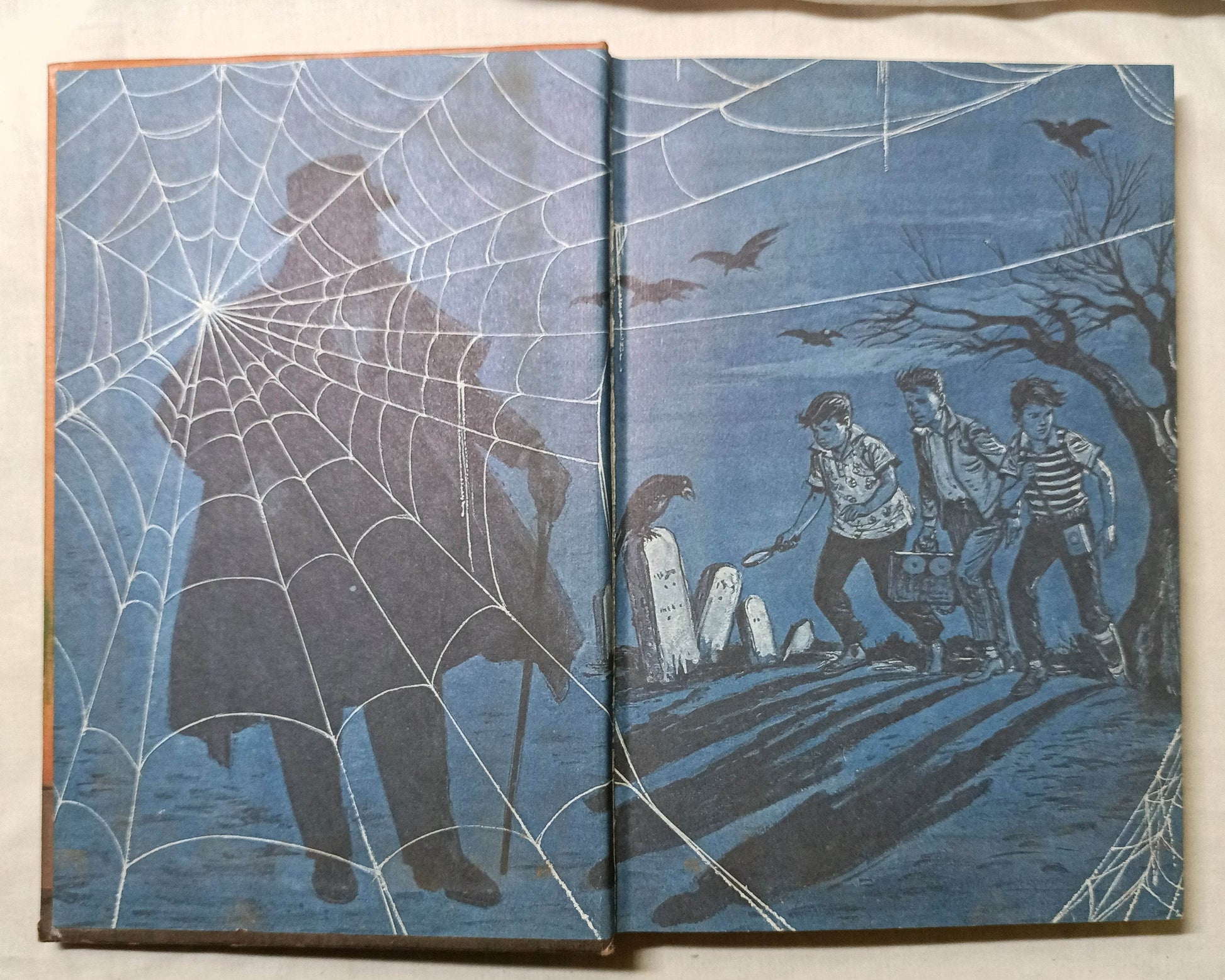 Alfred Hitchcock And The Three Investigators The Mystery Of The Talking Skull - TulipStuff