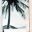Holland America Fall/Winter 1966-67 West Indies Cruises Brochure - TulipStuff