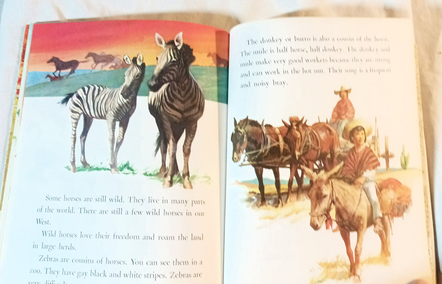 Horses Little Golden Book Blanche Chenery Perrin 1976 - TulipStuff