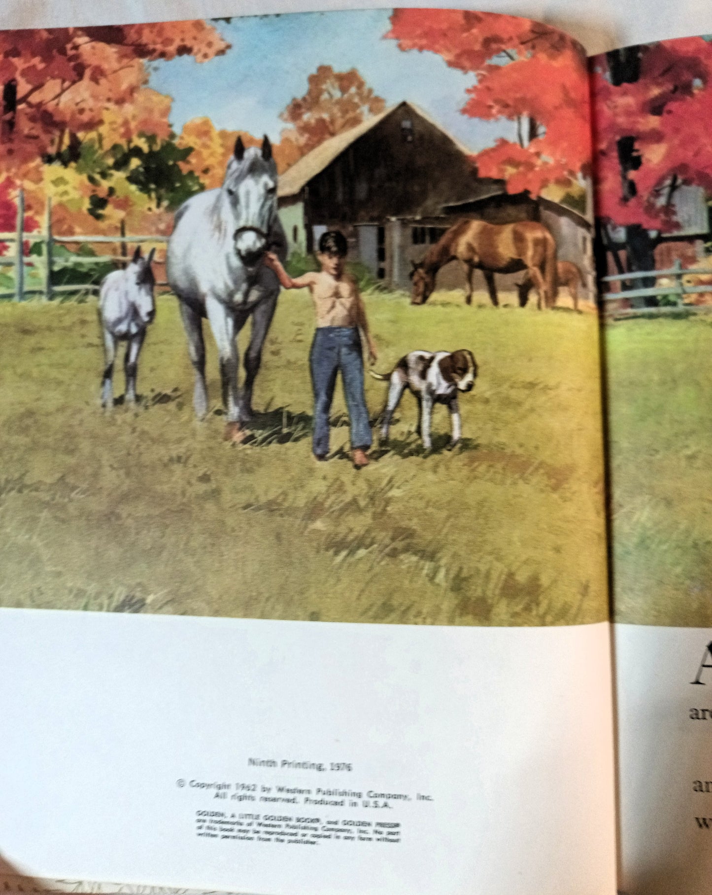 Horses Little Golden Book Blanche Chenery Perrin 1976 - TulipStuff