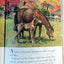 Horses Little Golden Book Blanche Chenery Perrin 1976 - TulipStuff