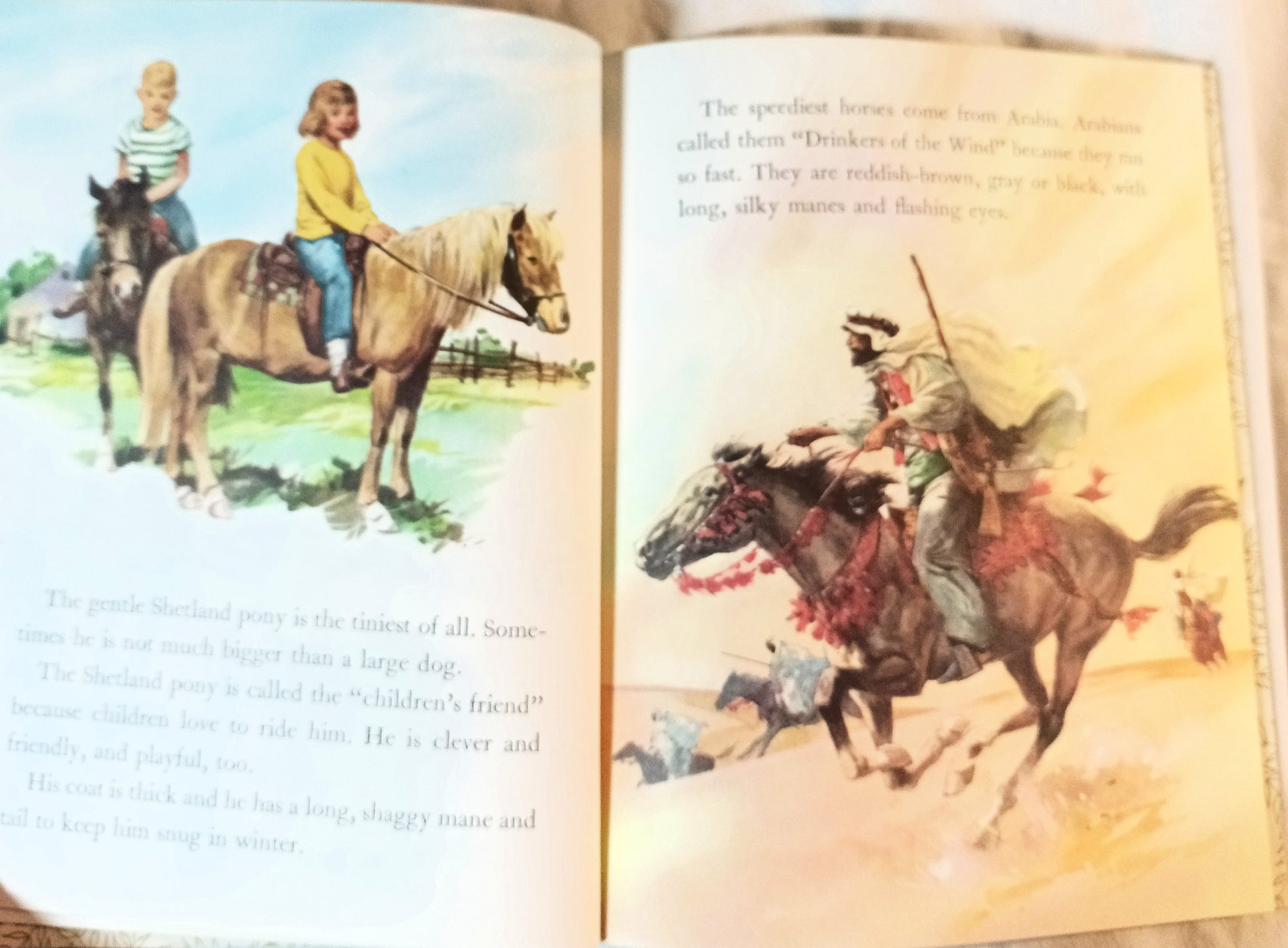 Horses Little Golden Book Blanche Chenery Perrin 1976 - TulipStuff