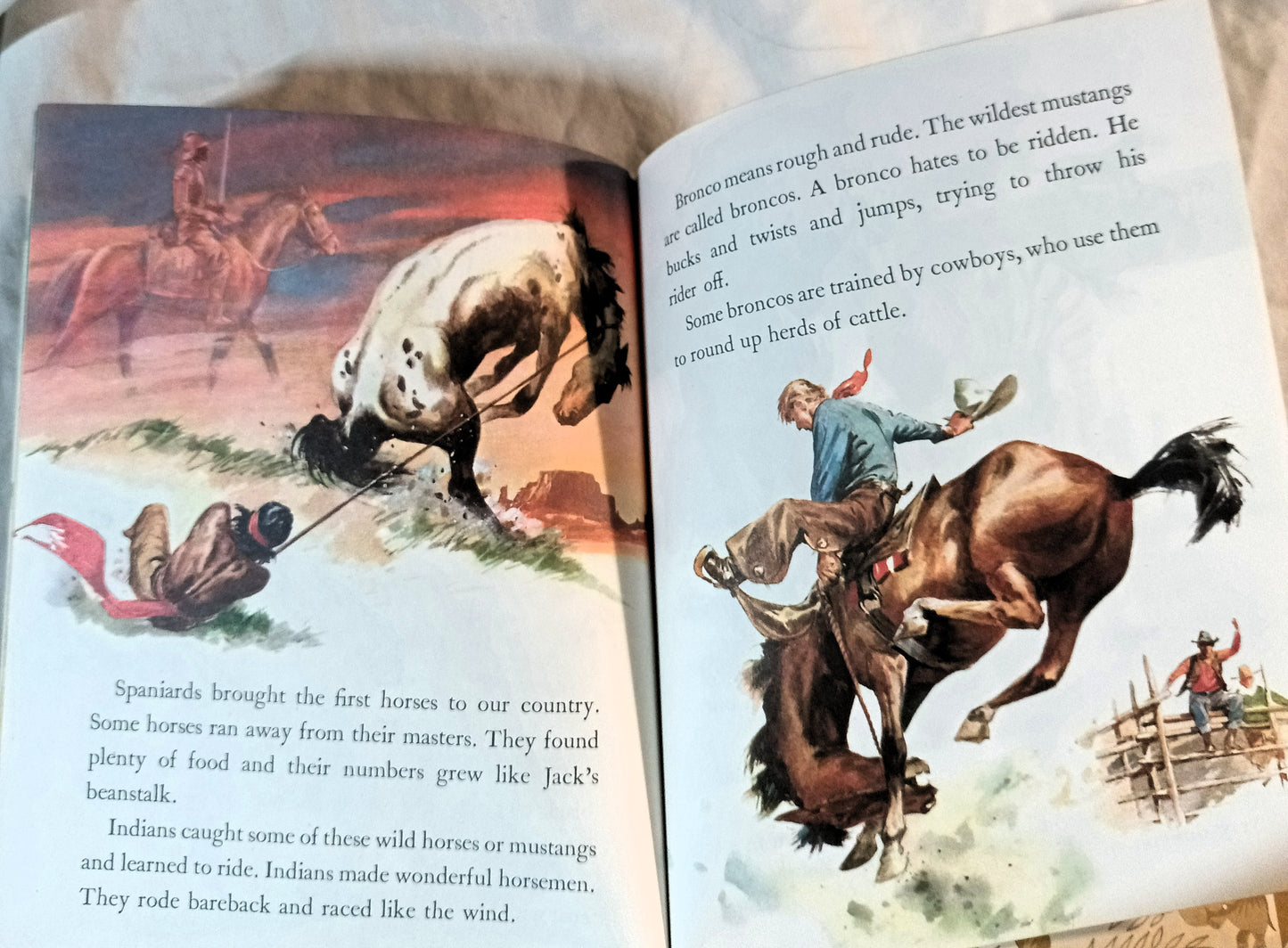 Horses Little Golden Book Blanche Chenery Perrin 1976 - TulipStuff