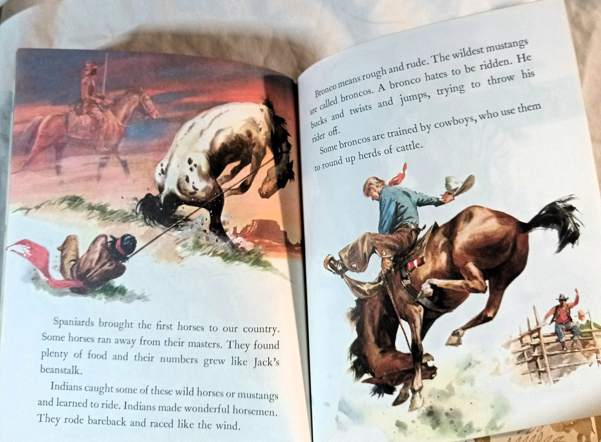 Horses Little Golden Book Blanche Chenery Perrin 1976 - TulipStuff