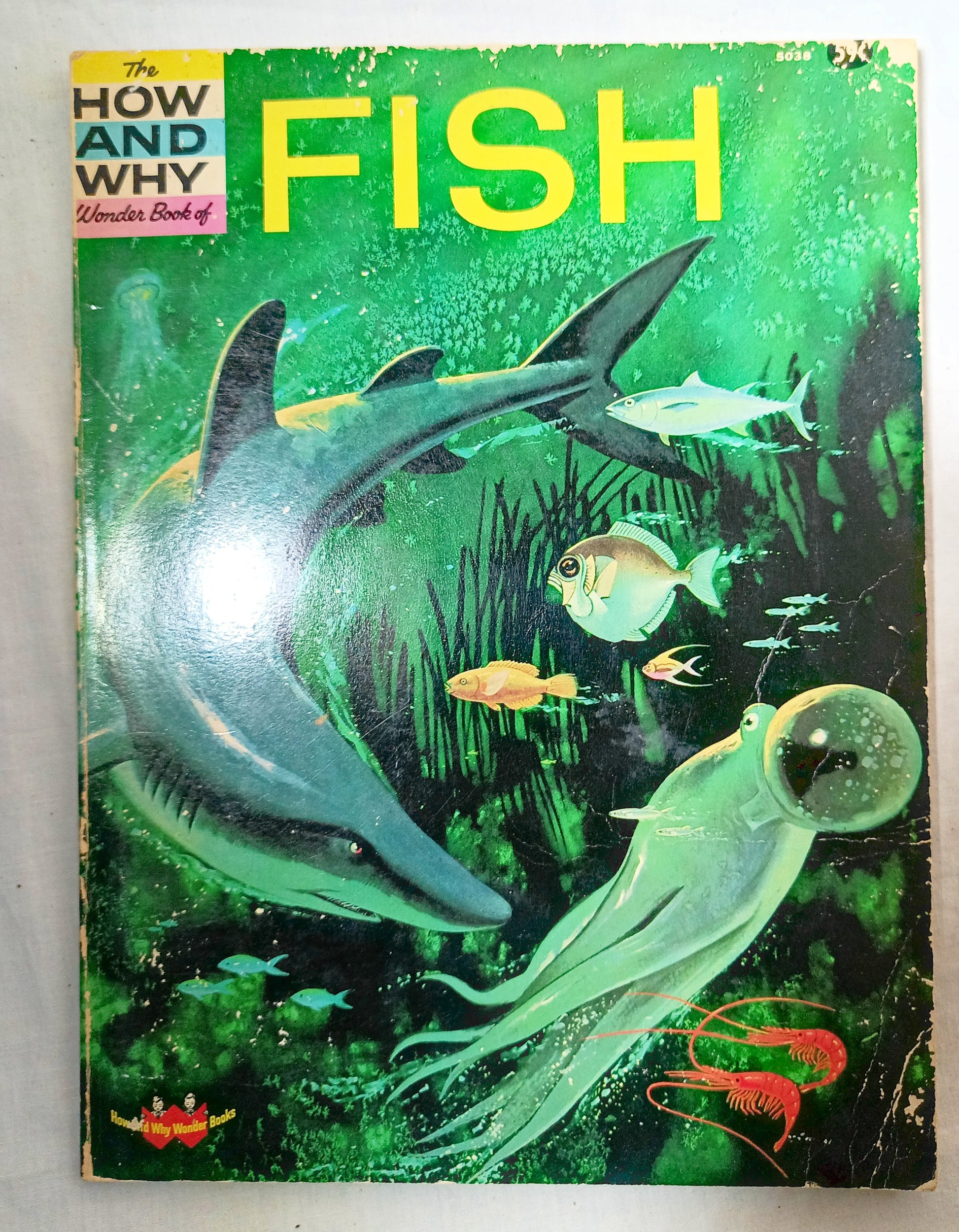 The How And Why Wonder Book Of Fish Geoffrey Coe Paperback 1963 - TulipStuff