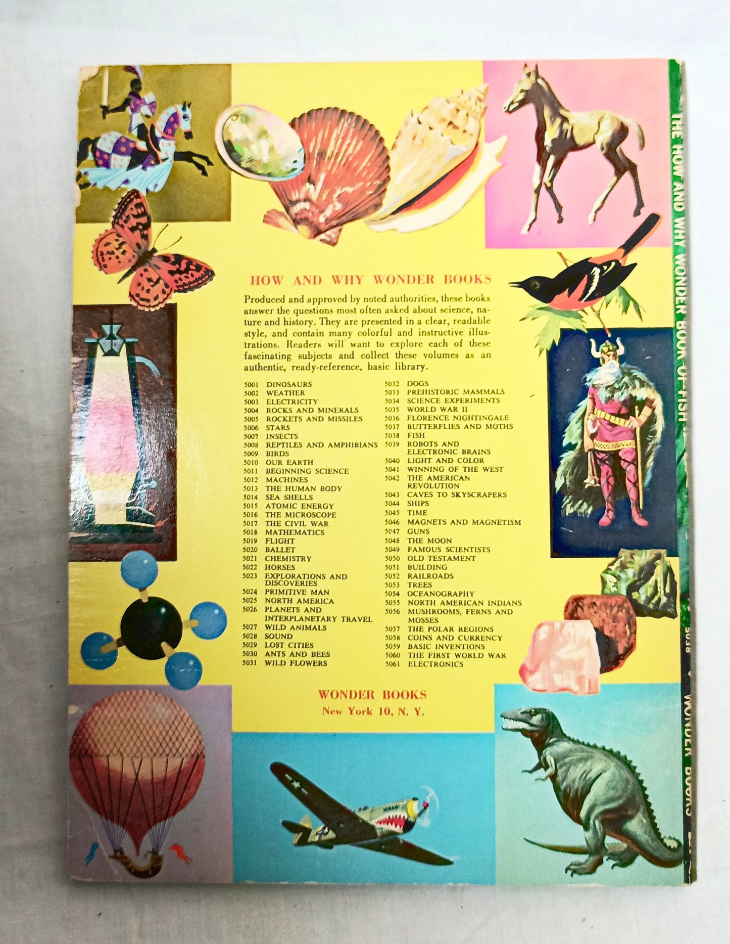The How And Why Wonder Book Of Fish Geoffrey Coe Paperback 1963 - TulipStuff