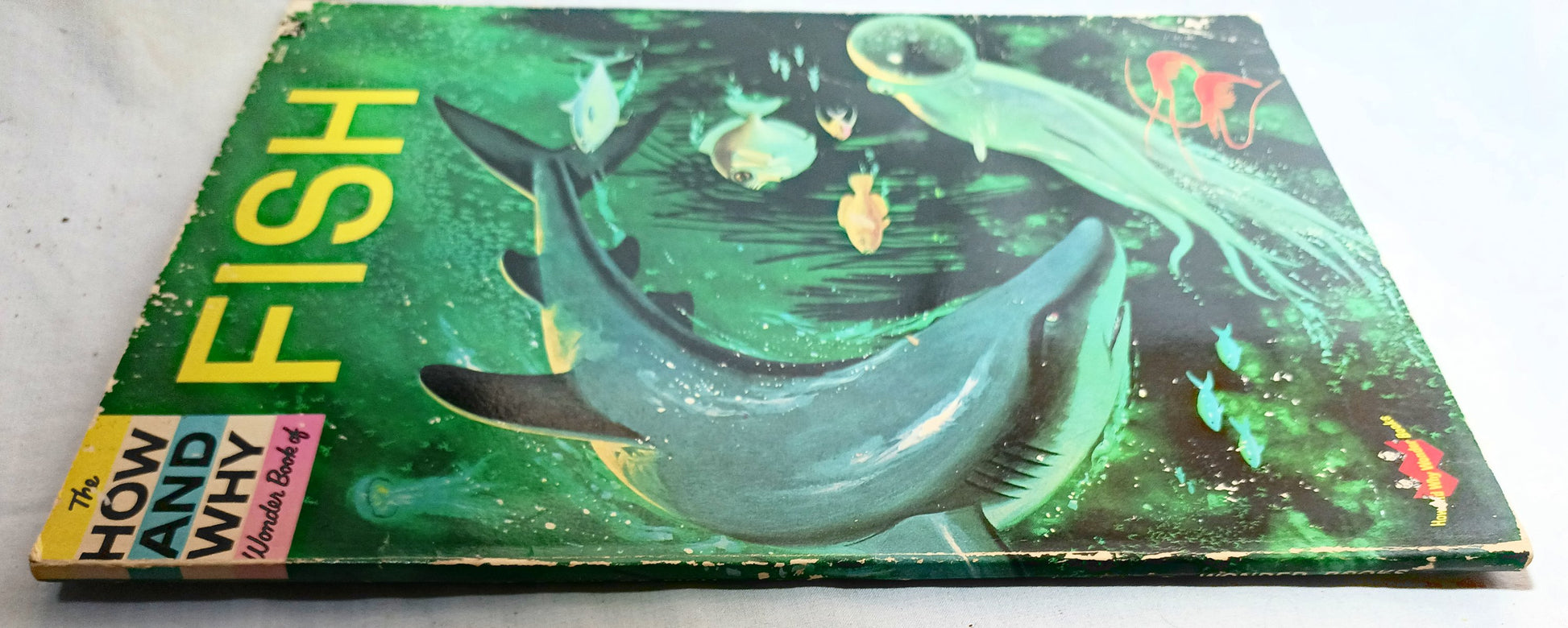 The How And Why Wonder Book Of Fish Geoffrey Coe Paperback 1963 - TulipStuff