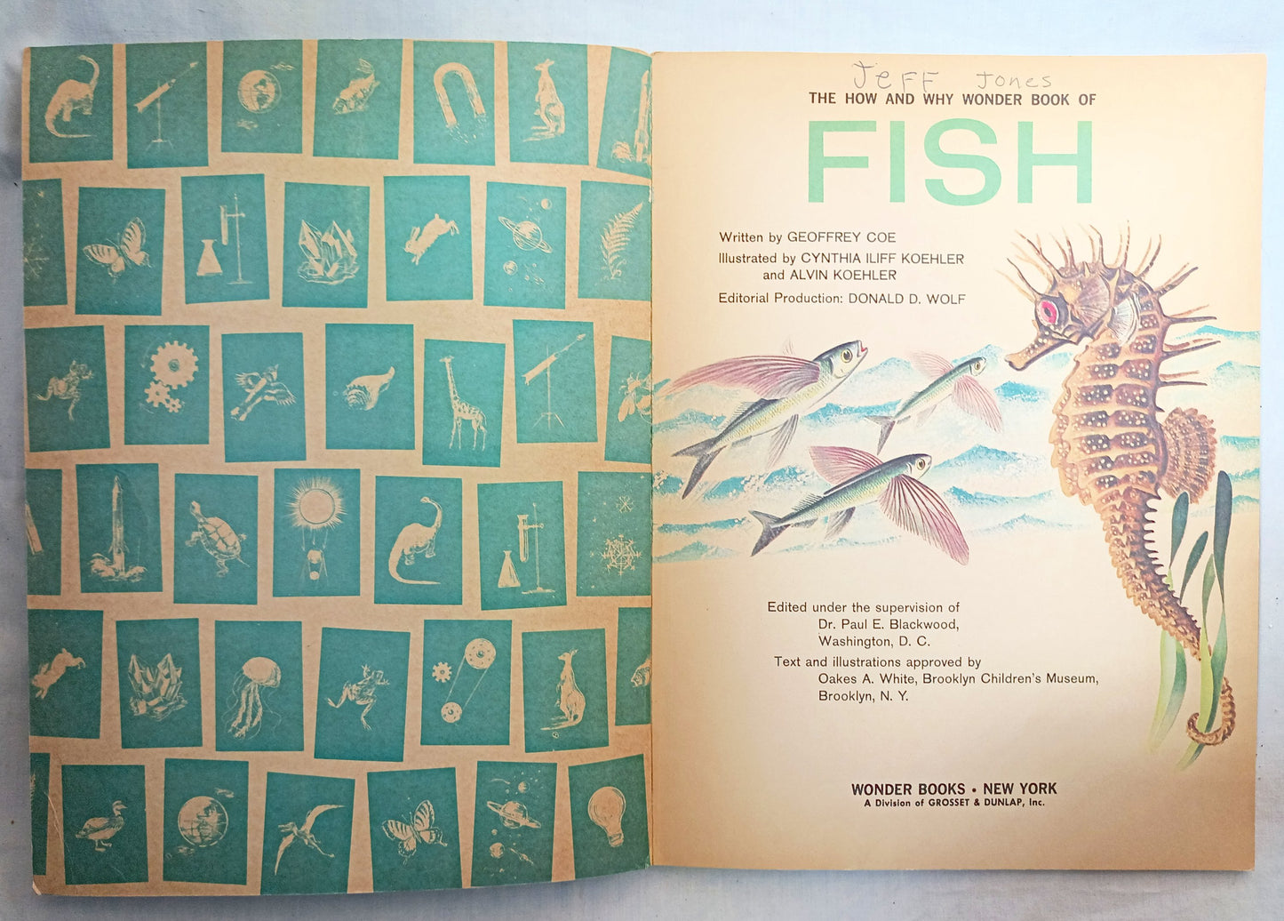 The How And Why Wonder Book Of Fish Geoffrey Coe Paperback 1963 - TulipStuff
