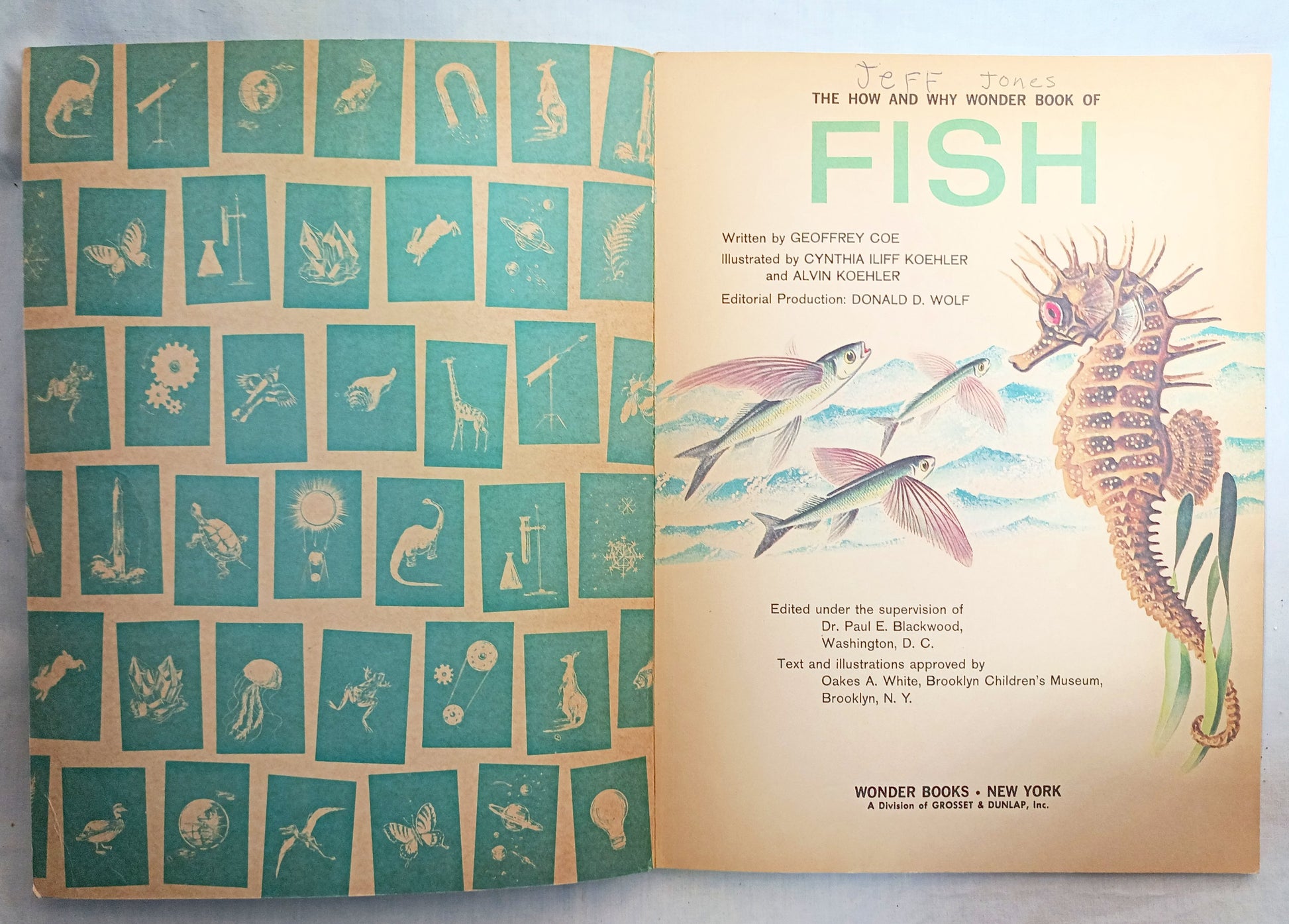 The How And Why Wonder Book Of Fish Geoffrey Coe Paperback 1963 - TulipStuff