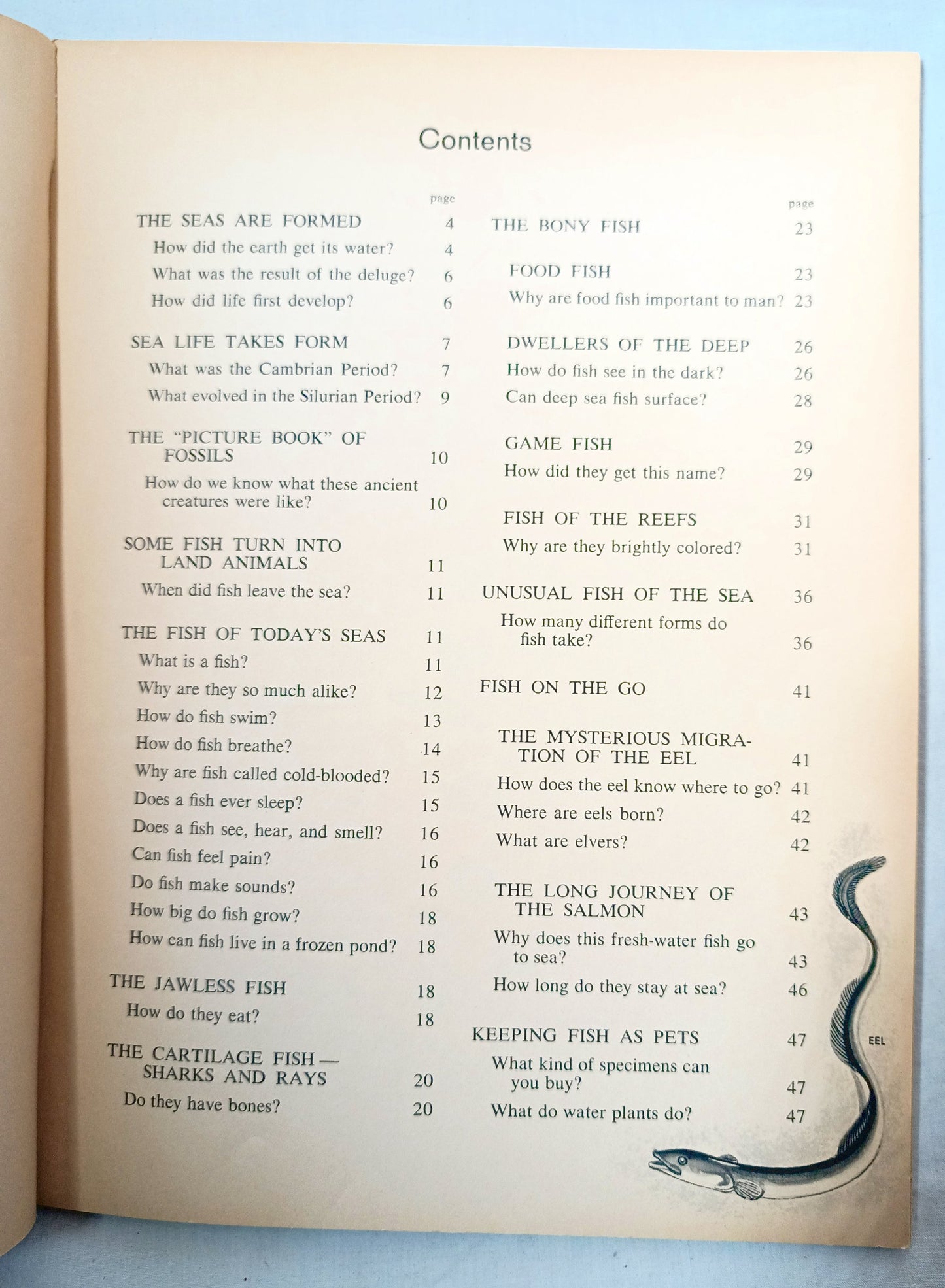 The How And Why Wonder Book Of Fish Geoffrey Coe Paperback 1963 - TulipStuff