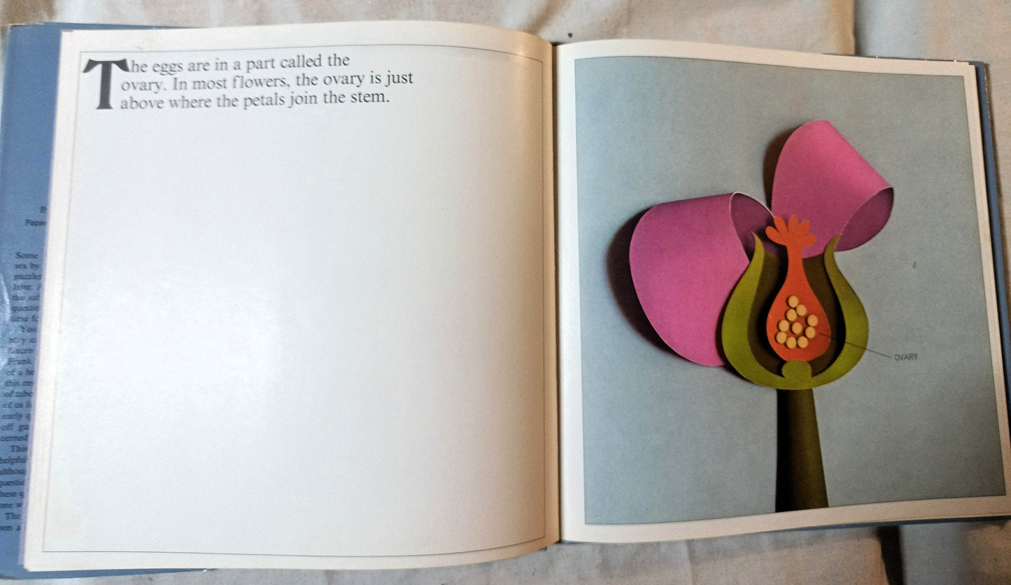 How Babies Are Made Time Life Books Andrew Andry Steven Schepp 1973 - TulipStuff