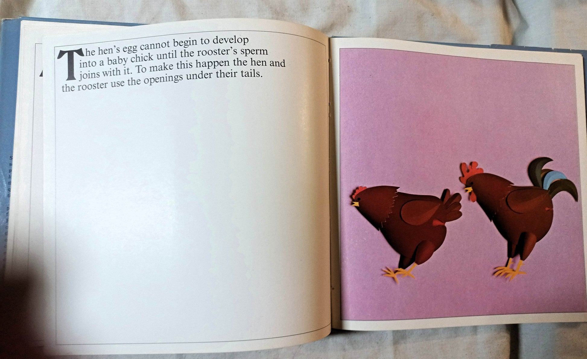 How Babies Are Made Time Life Books Andrew Andry Steven Schepp 1973 - TulipStuff