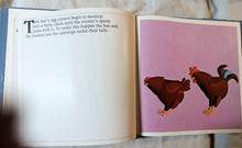 Load image into Gallery viewer, How Babies Are Made Time Life Books Andrew Andry Steven Schepp 1973 - TulipStuff
