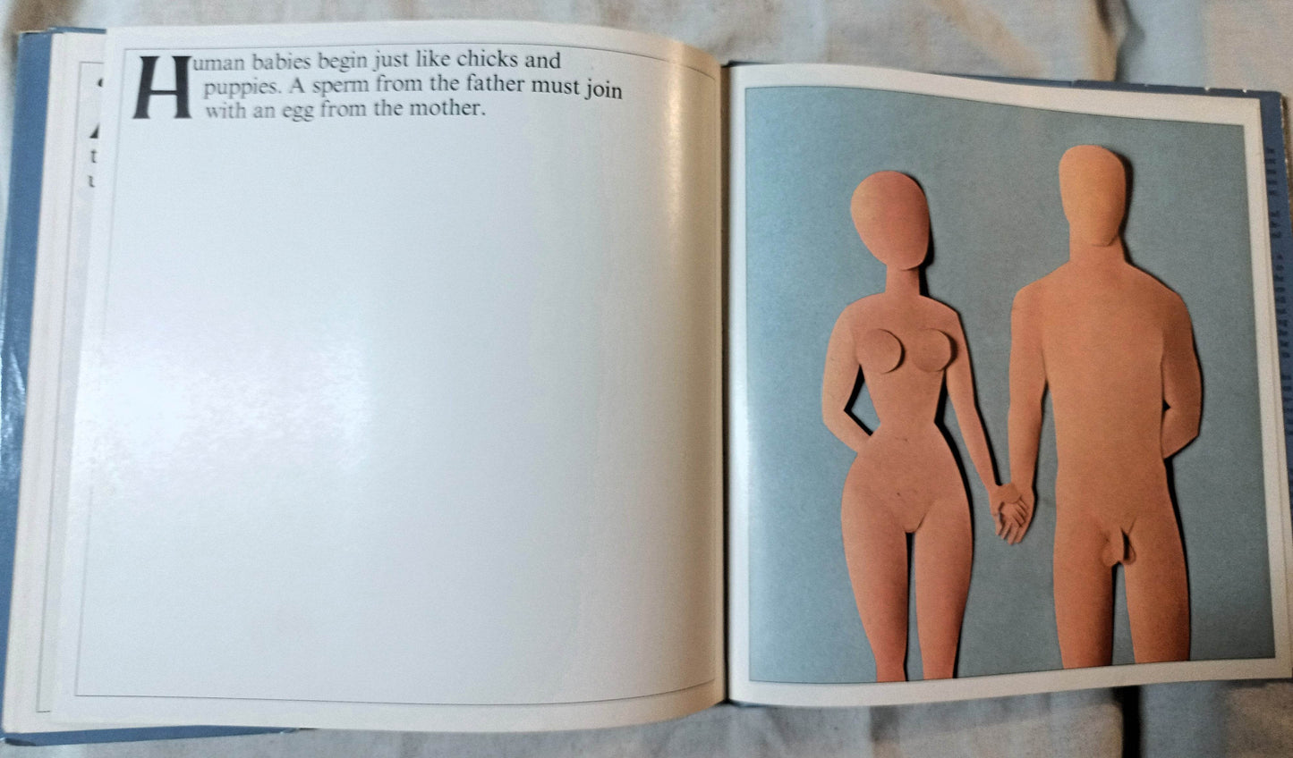 How Babies Are Made Time Life Books Andrew Andry Steven Schepp 1973 - TulipStuff