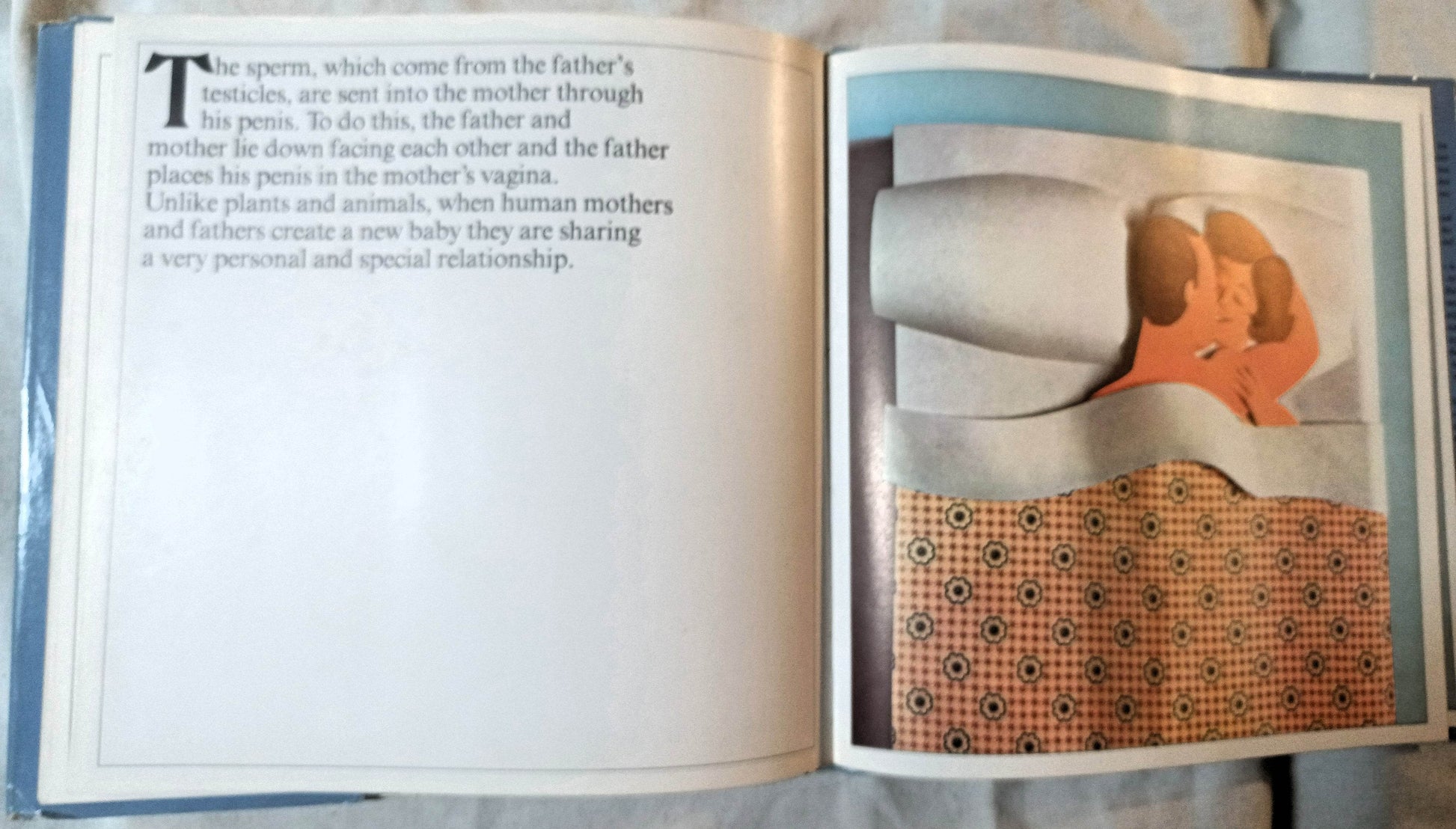 How Babies Are Made Time Life Books Andrew Andry Steven Schepp 1973 - TulipStuff