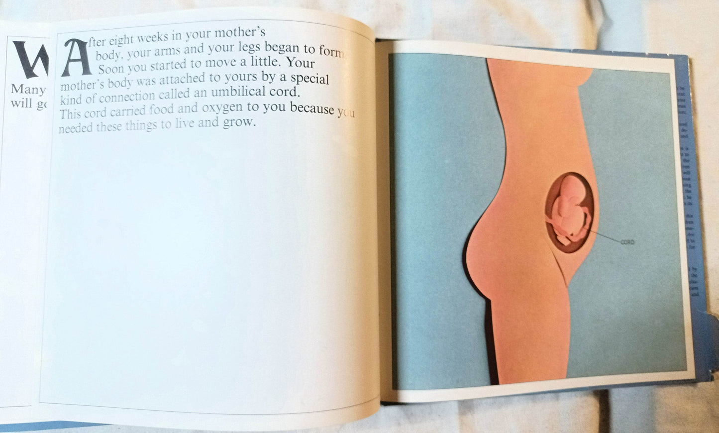 How Babies Are Made Time Life Books Andrew Andry Steven Schepp 1973 - TulipStuff