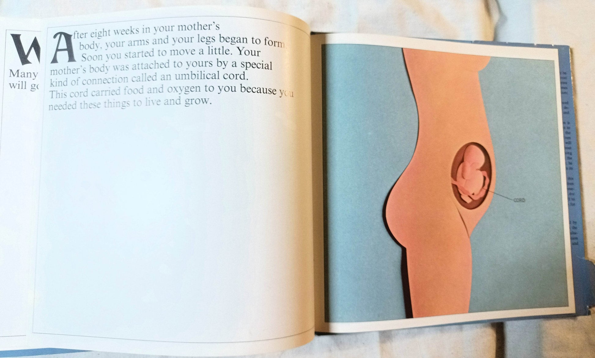 How Babies Are Made Time Life Books Andrew Andry Steven Schepp 1973 - TulipStuff