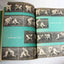 How To Star In Football Herman Masin Scholastic Paperback 1966 - TulipStuff