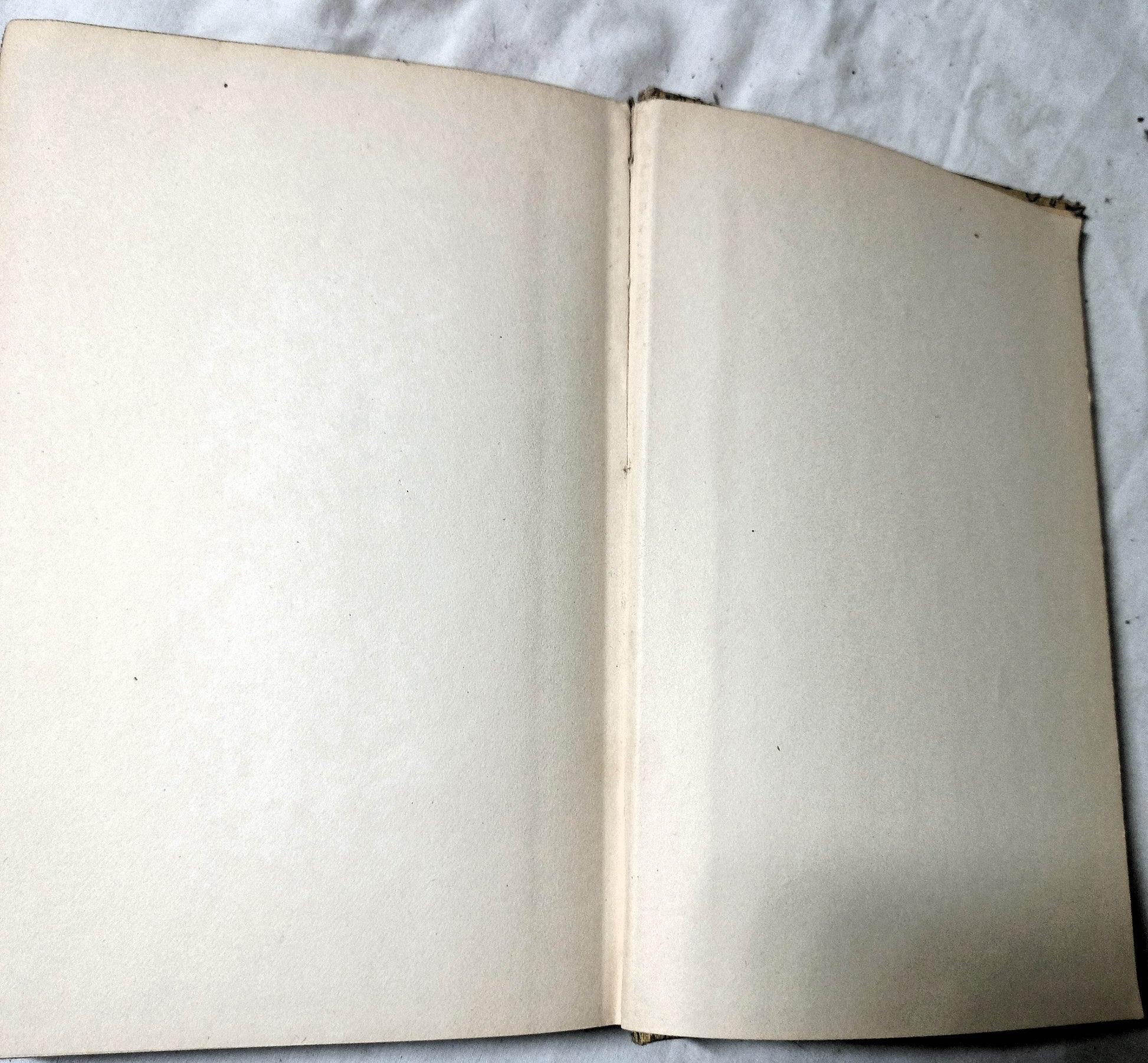 The Adventures Of Huckleberry Finn Mark Twain Hardcover 1947 - Tuliptuff