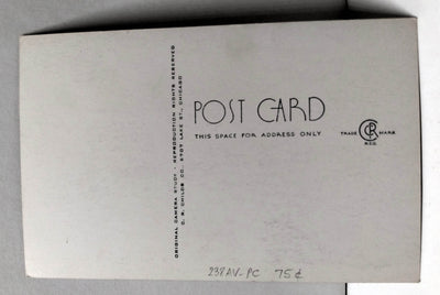 International House University of Chicago 1930's Postcard - TulipStuff