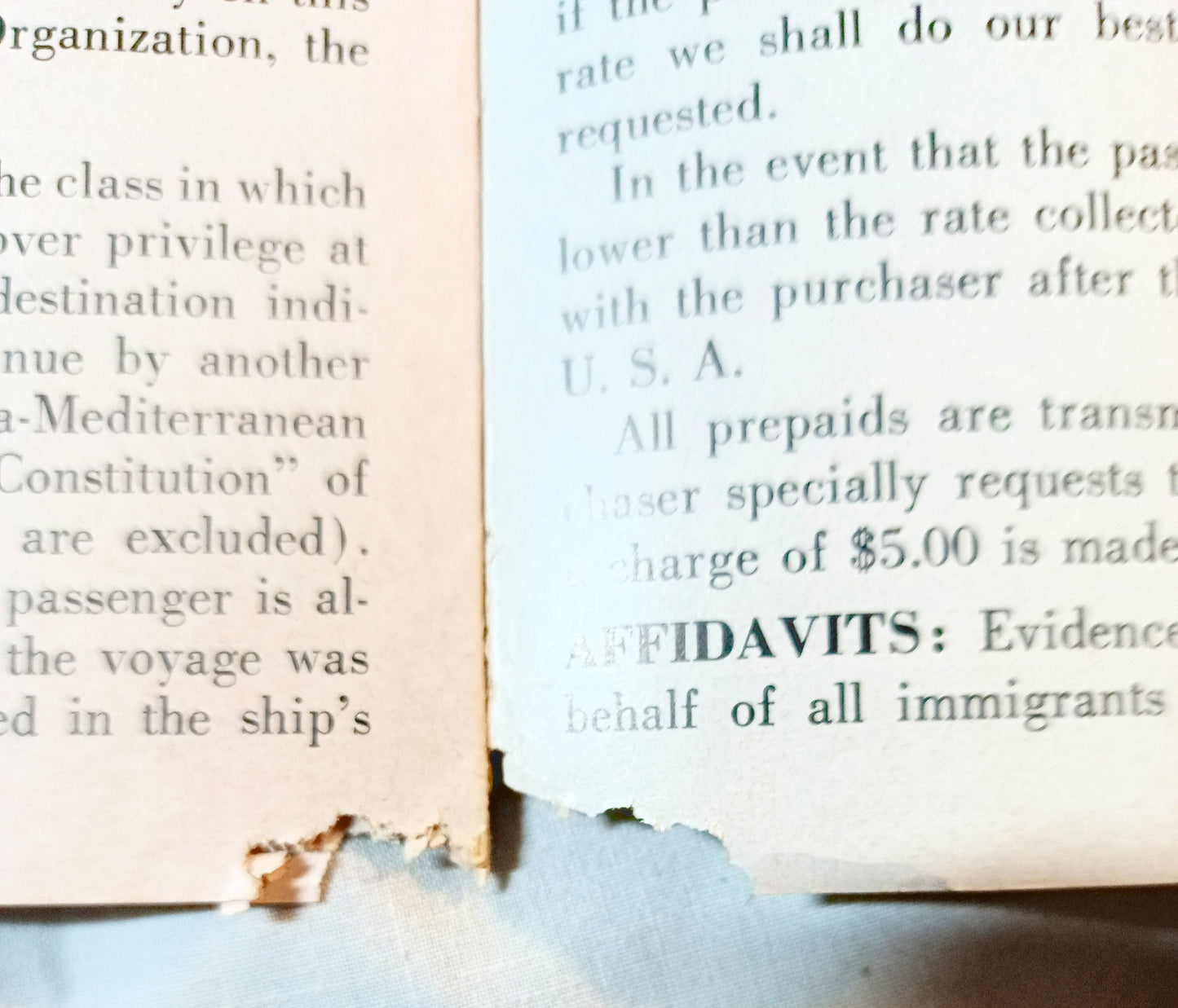 Italian Line 1955 Mediterranean Europe Brochure Andrea Doria Vulcania - TulipStuff