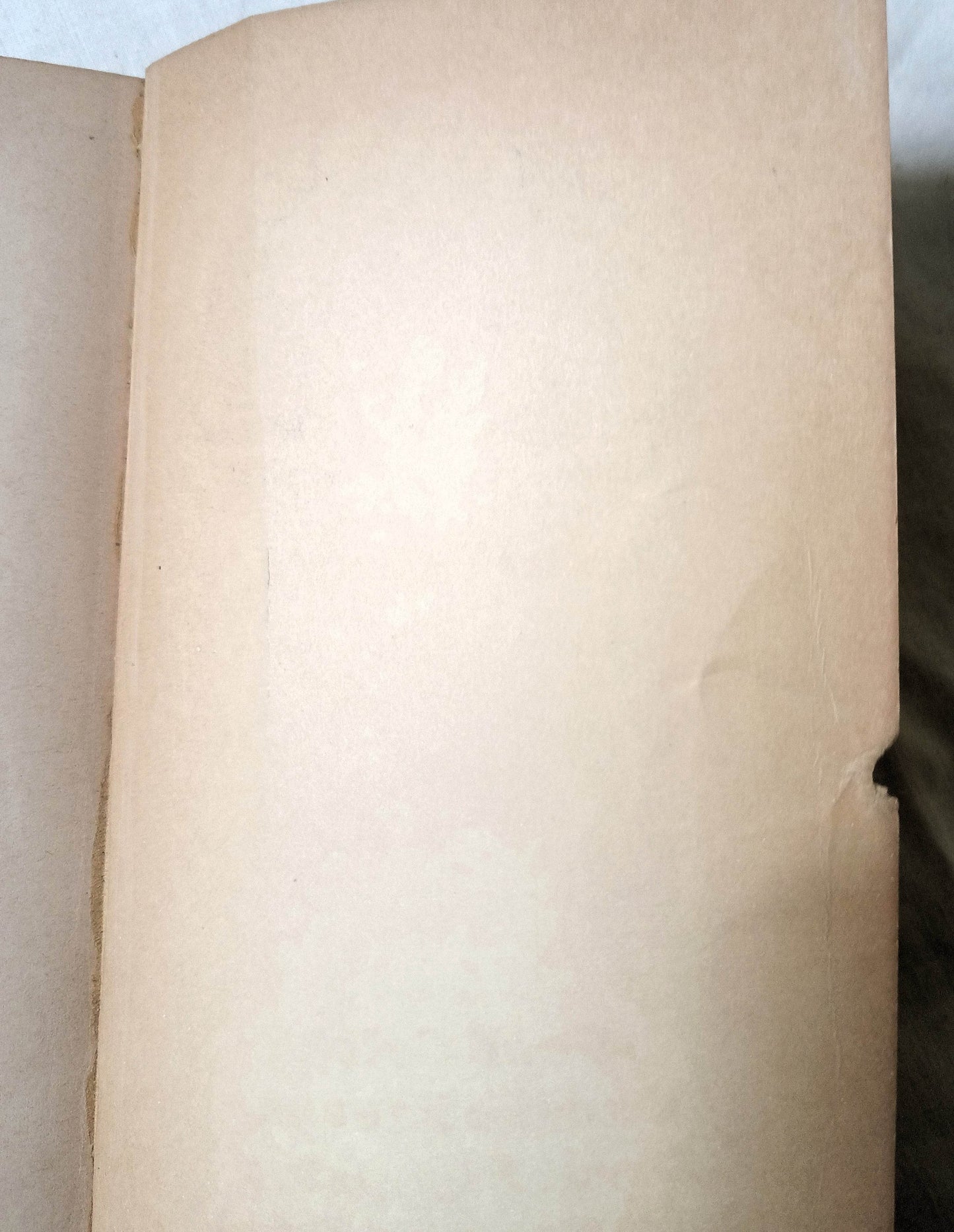 It's The Great Pumpkin Charlie Brown Peanuts First Printing 1968 - TulipStuff