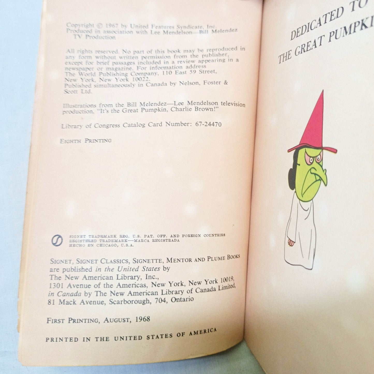 It's The Great Pumpkin Charlie Brown Peanuts First Printing 1968 - TulipStuff