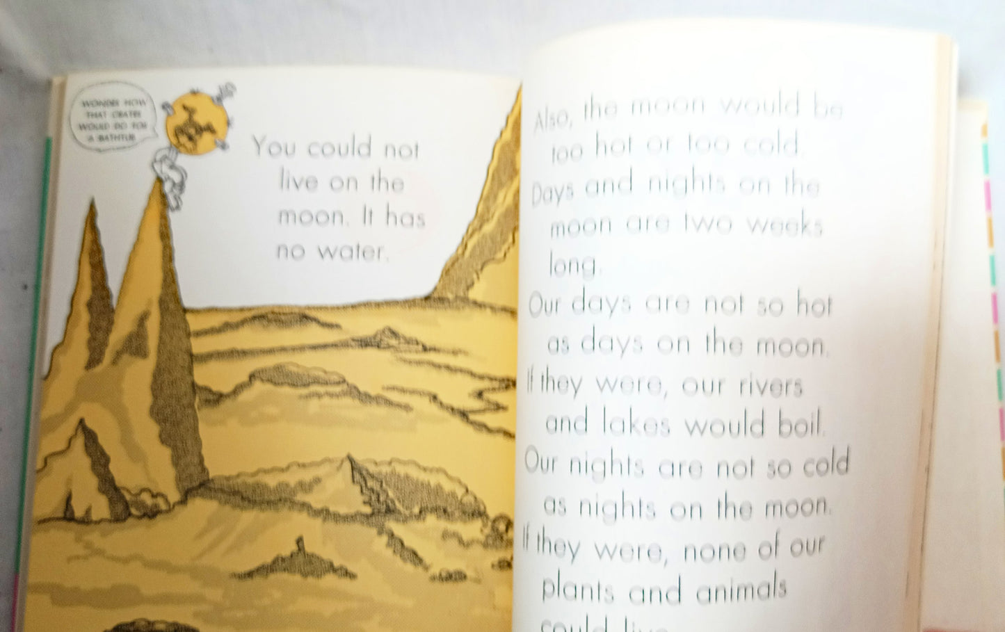 I Want To Know About Animal Babies Sounds We Hear Moon Sun Stars 1955 - Tuliptuff