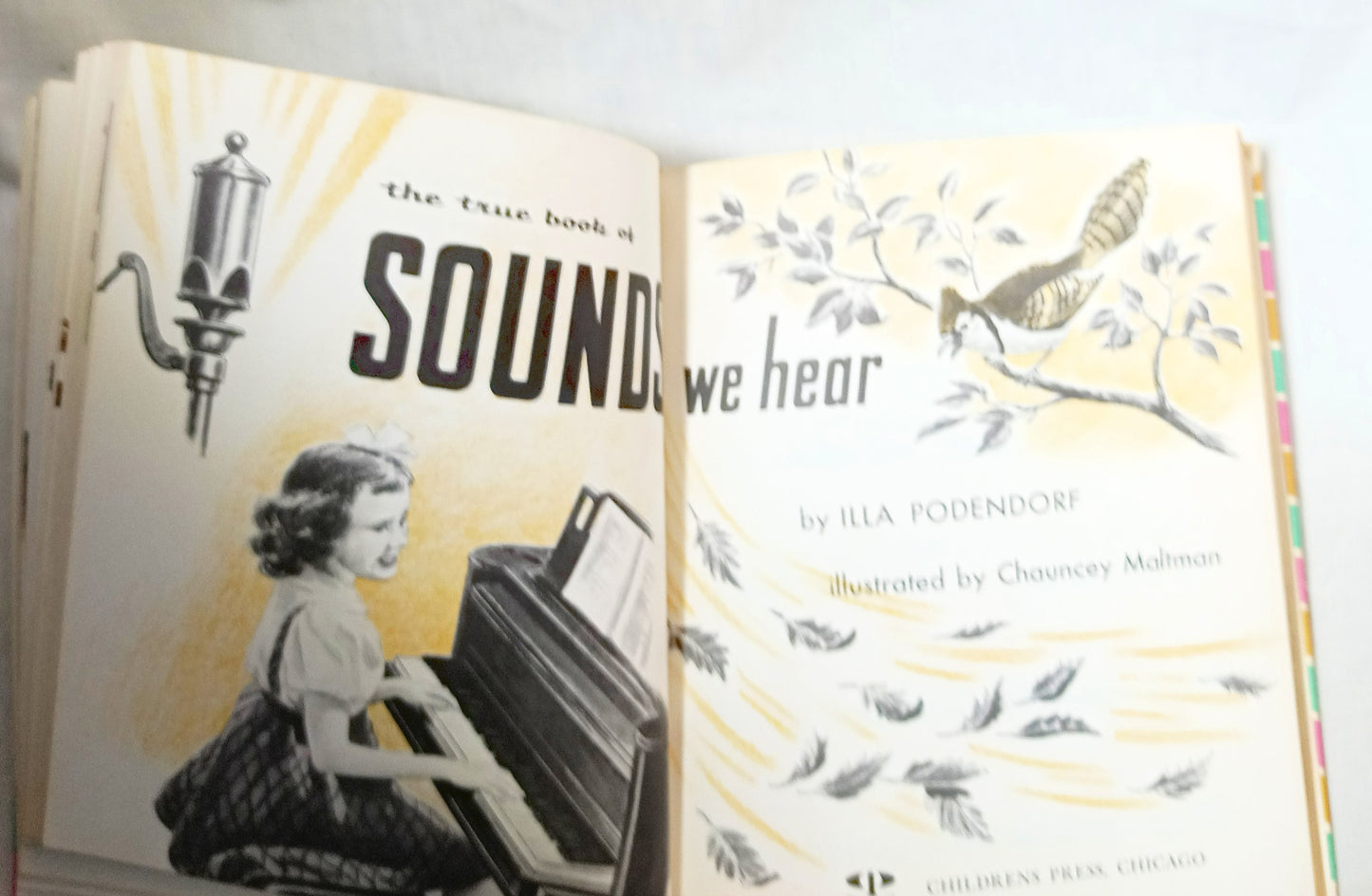 I Want To Know About Animal Babies Sounds We Hear Moon Sun Stars 1955 - Tuliptuff