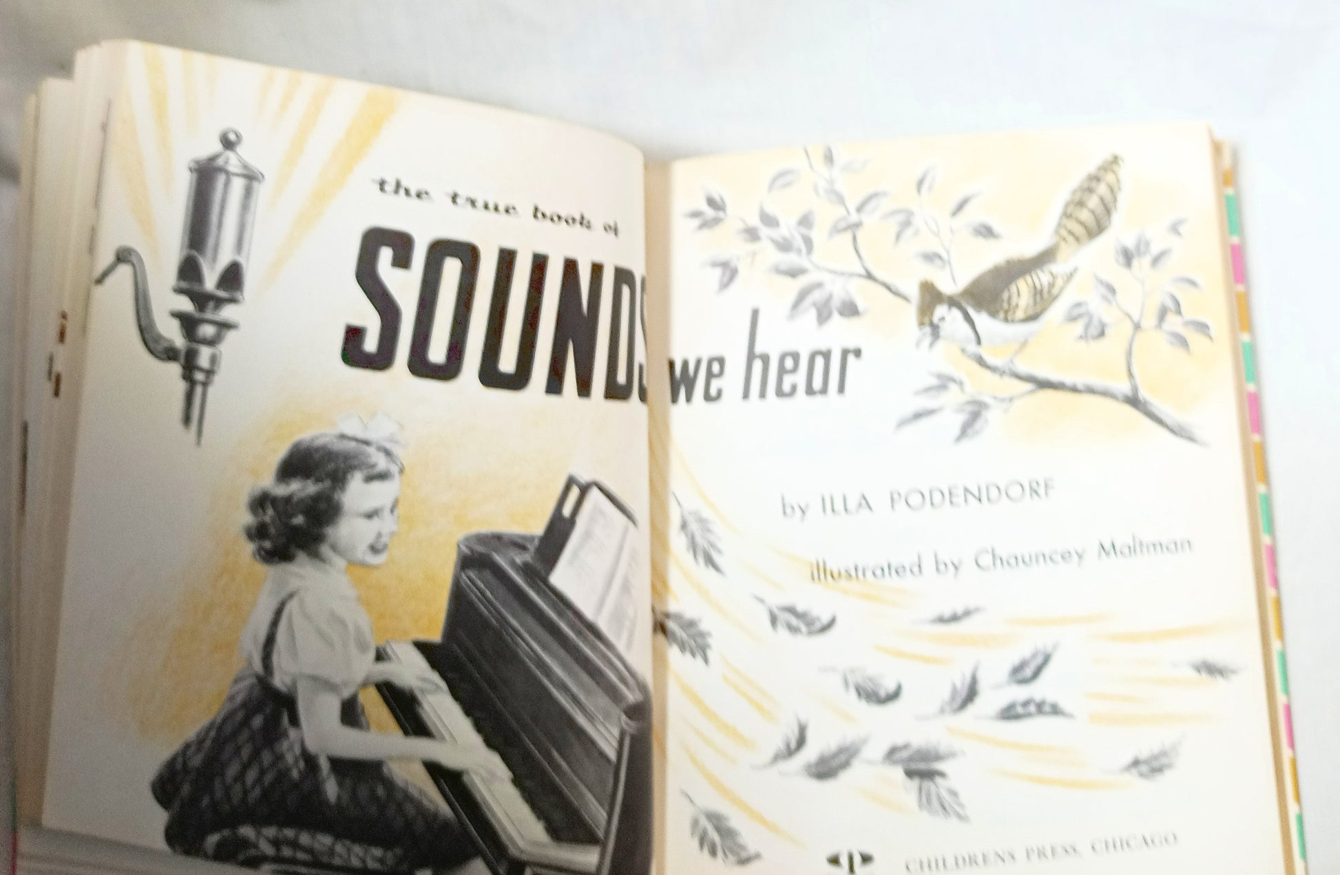 I Want To Know About Animal Babies Sounds We Hear Moon Sun Stars 1955 - Tuliptuff