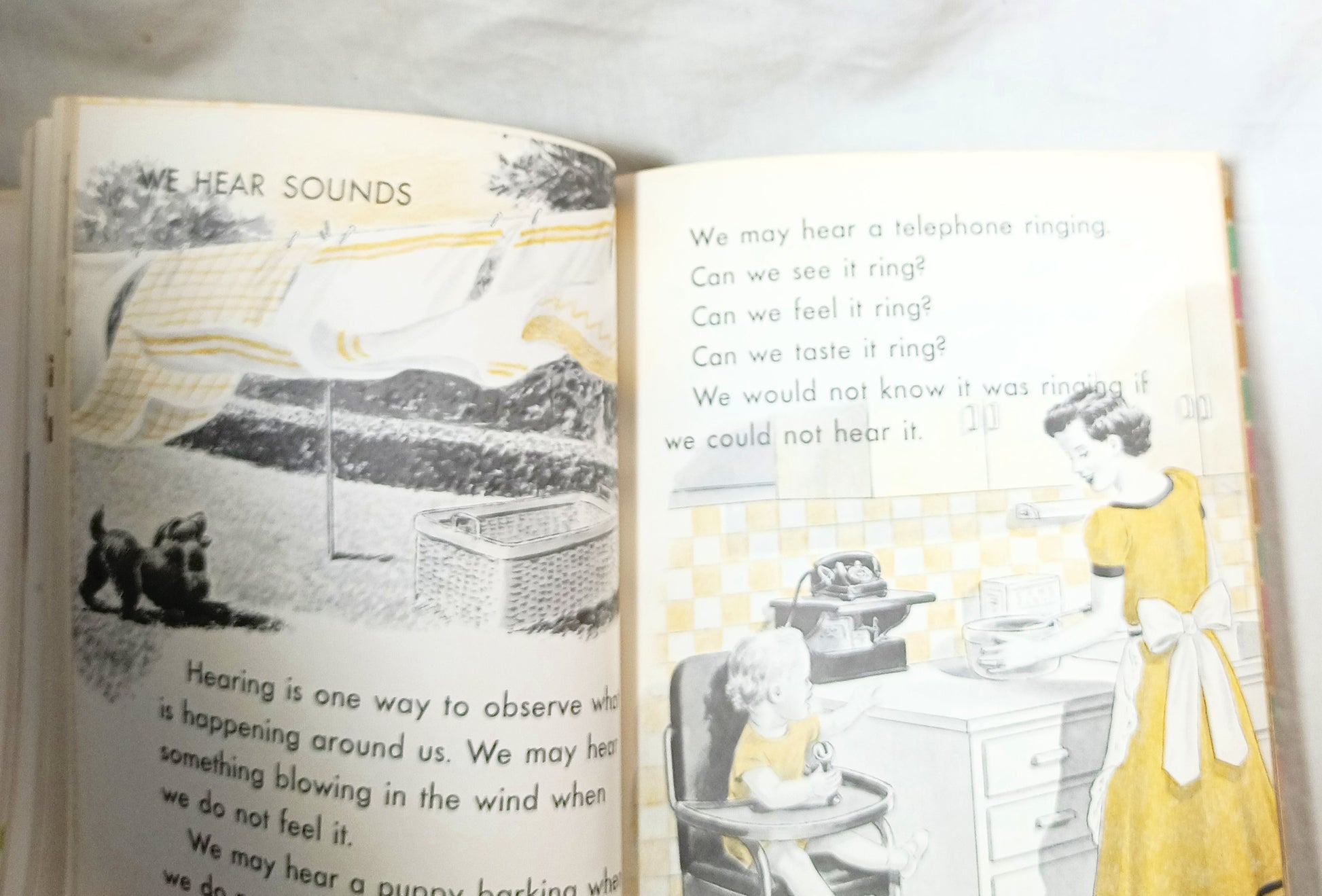 I Want To Know About Animal Babies Sounds We Hear Moon Sun Stars 1955 - Tuliptuff