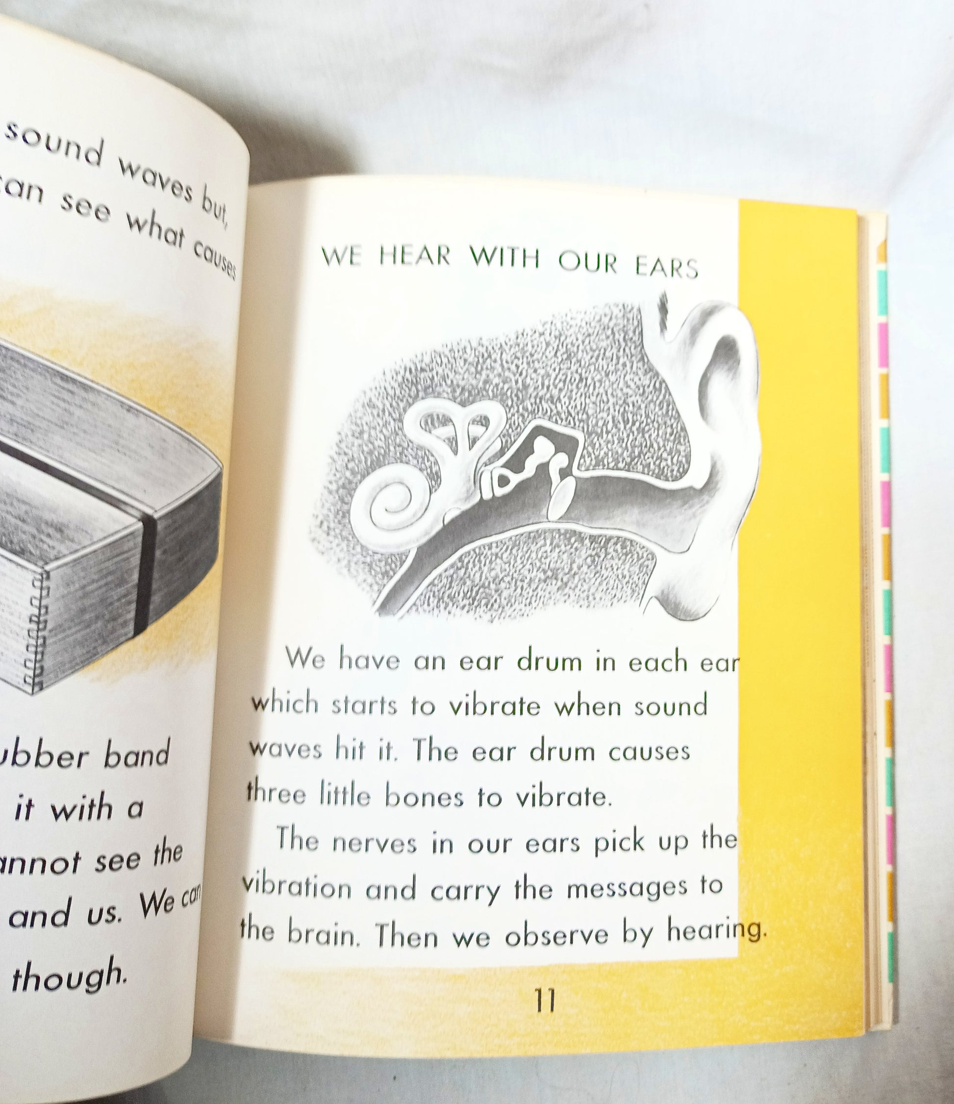 I Want To Know About Animal Babies Sounds We Hear Moon Sun Stars 1955 - Tuliptuff
