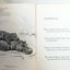 I Want To Know About Animal Babies Sounds We Hear Moon Sun Stars 1955 - Tuliptuff