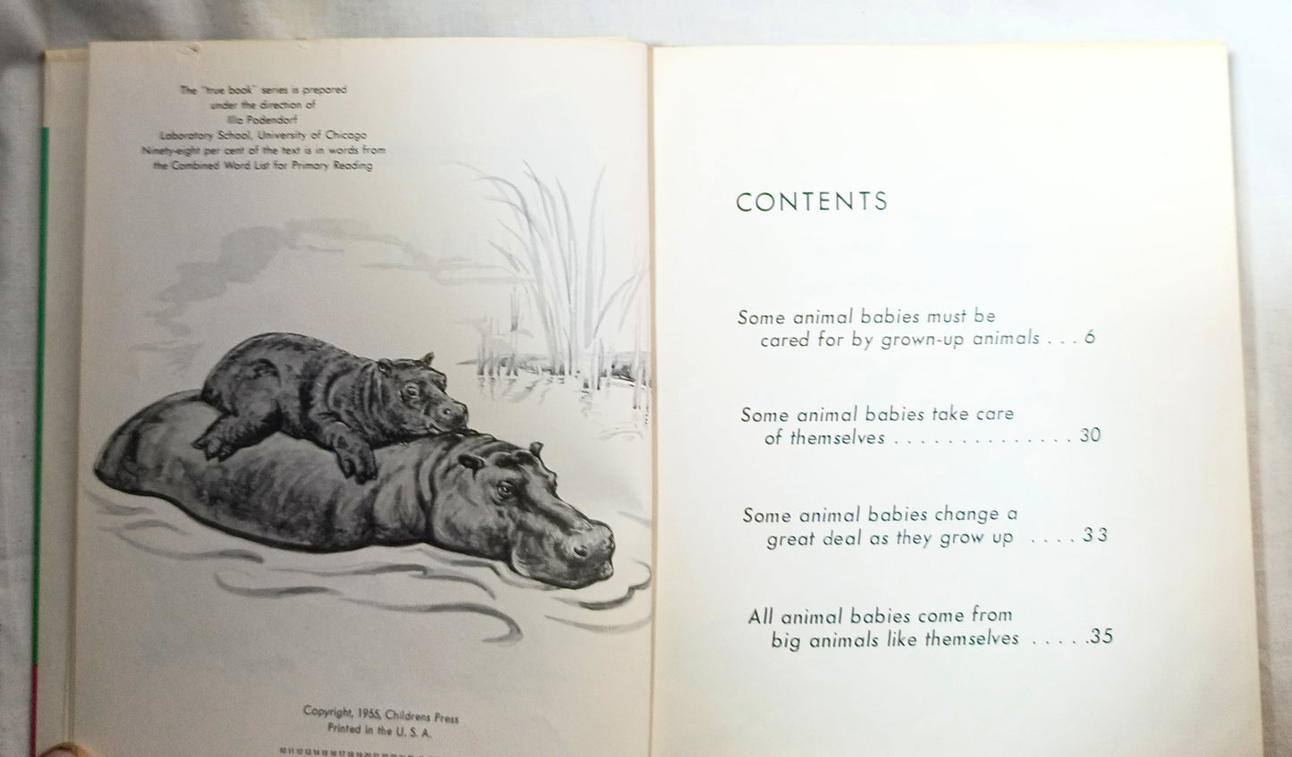 I Want To Know About Animal Babies Sounds We Hear Moon Sun Stars 1955 - Tuliptuff