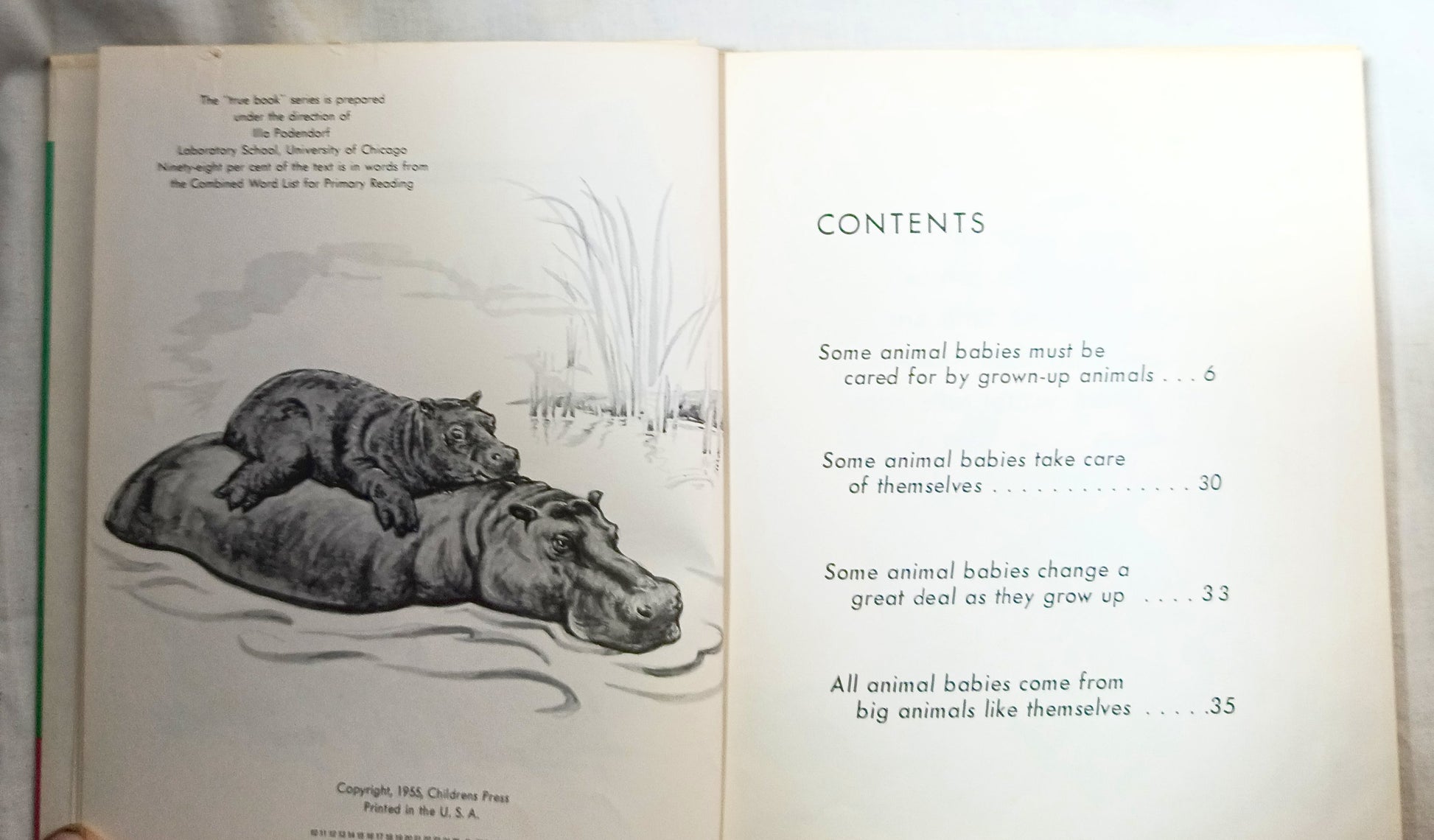 I Want To Know About Animal Babies Sounds We Hear Moon Sun Stars 1955 - Tuliptuff