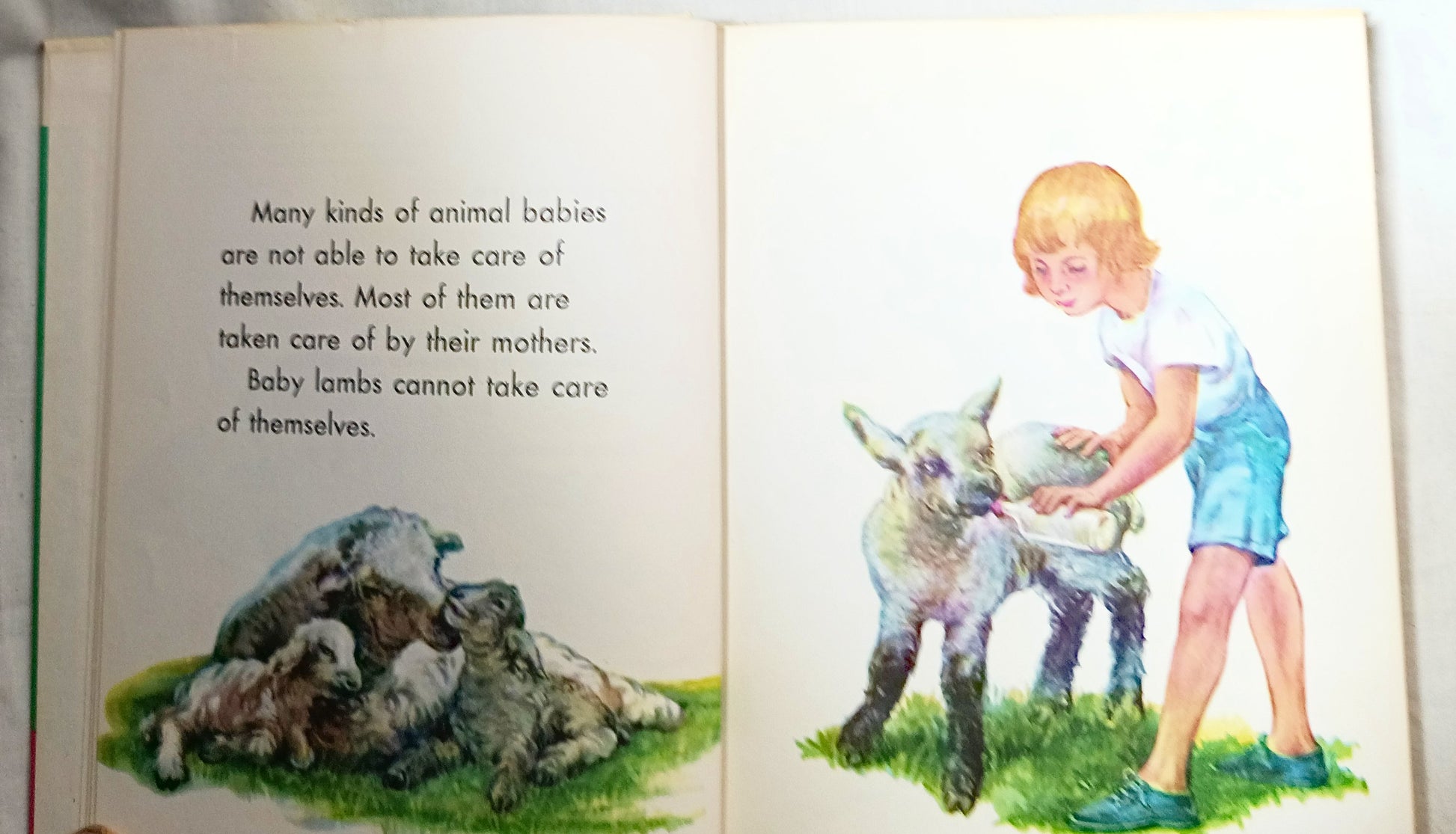 I Want To Know About Animal Babies Sounds We Hear Moon Sun Stars 1955 - Tuliptuff