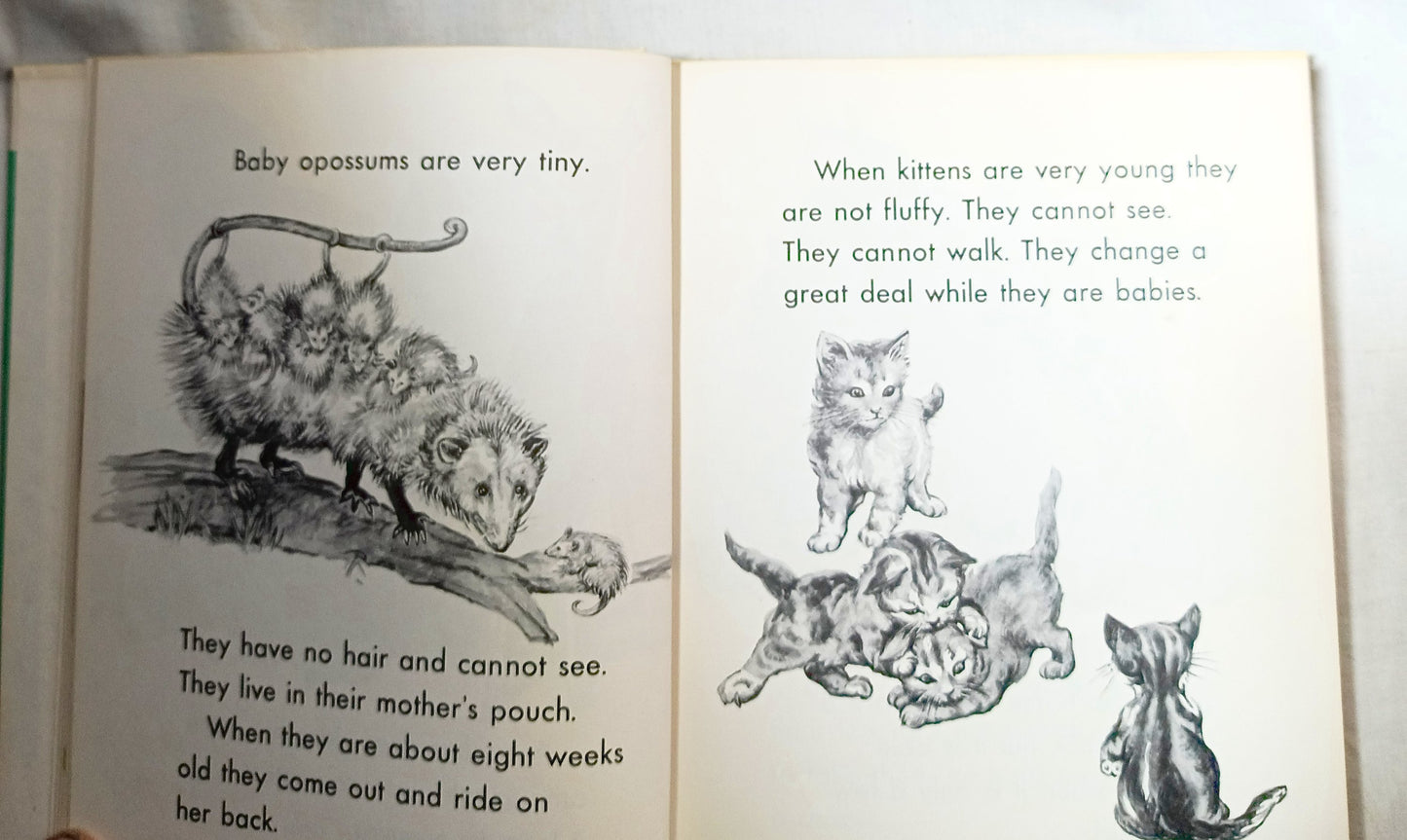 I Want To Know About Animal Babies Sounds We Hear Moon Sun Stars 1955 - Tuliptuff