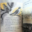 I Want To Know About Animal Babies Sounds We Hear Moon Sun Stars 1955 - Tuliptuff
