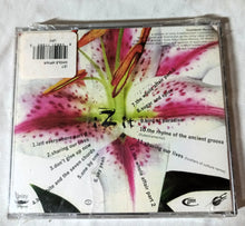 Load image into Gallery viewer, Izit The Whole Affair Acid Jazz Album CD Countdown 1995 - TulipStuff
