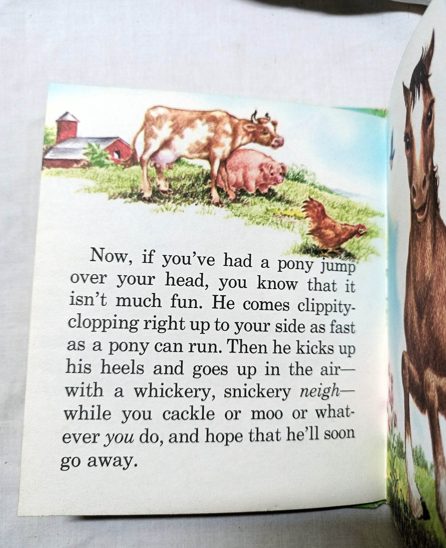 Jim Jump by Betty Ren Wright Tell-A-Tale Books Hardcover Whitman 1954 - TulipStuff