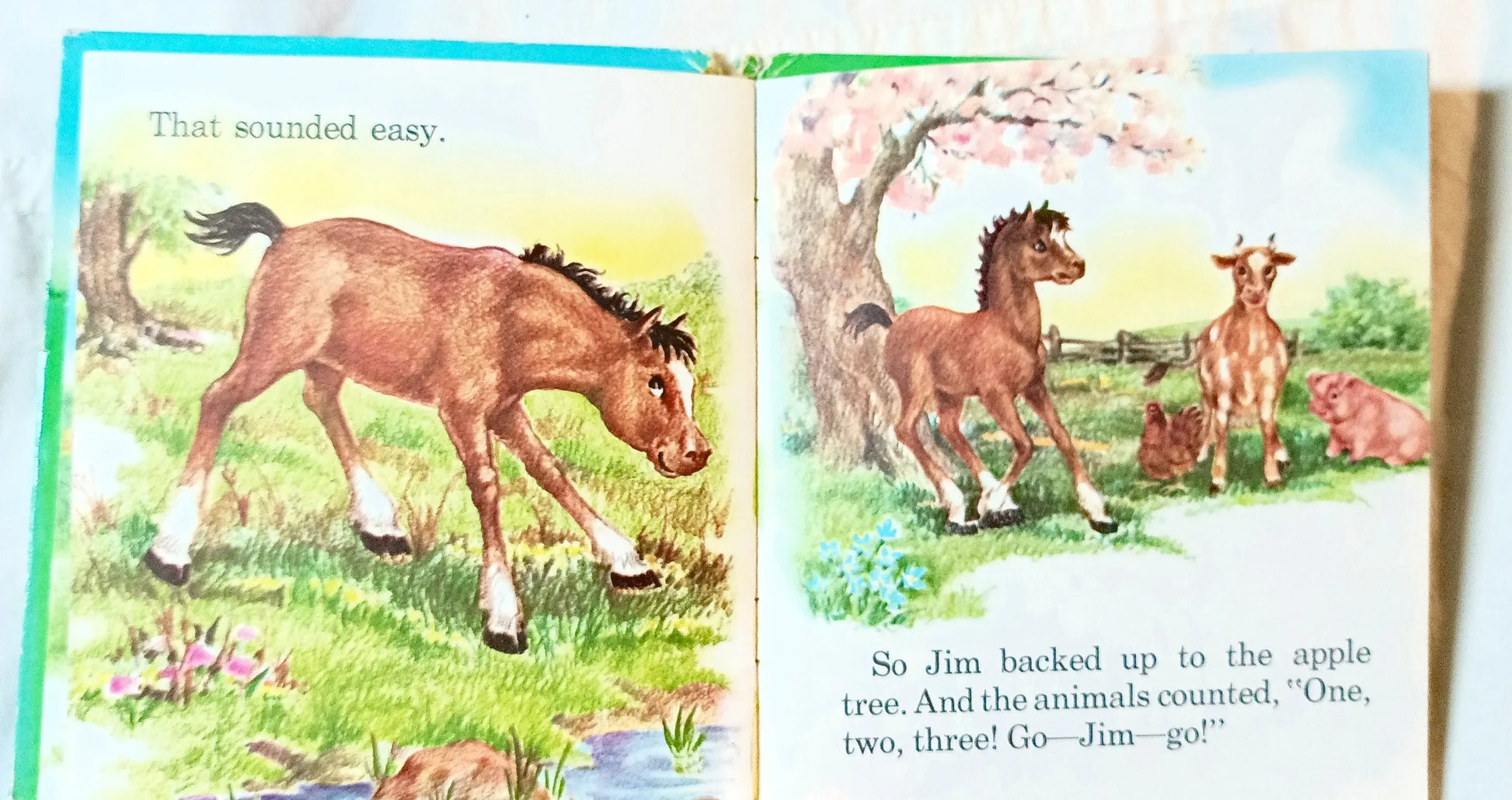 Jim Jump by Betty Ren Wright Tell-A-Tale Books Hardcover Whitman 1954 - TulipStuff