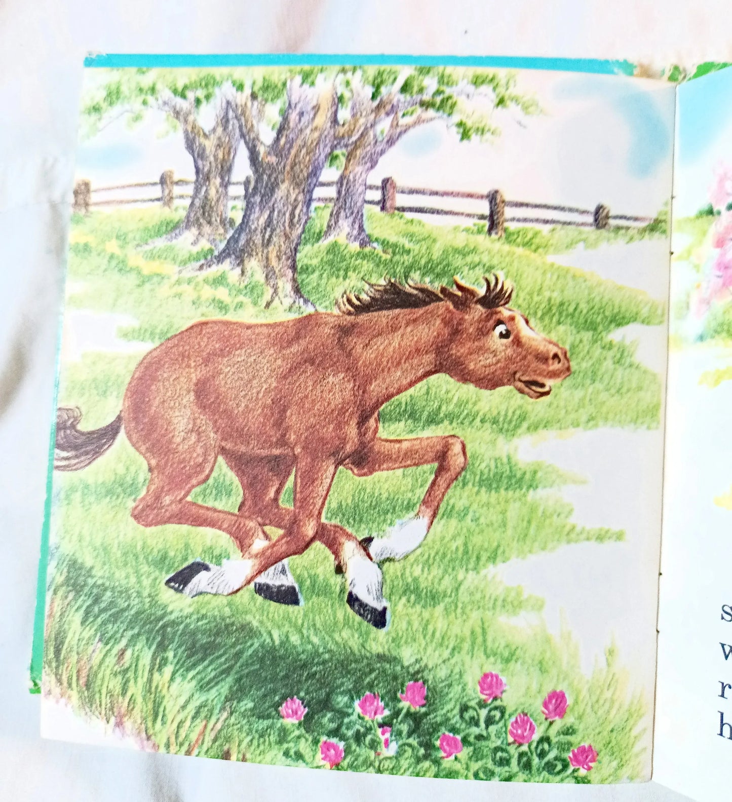 Jim Jump by Betty Ren Wright Tell-A-Tale Books Hardcover Whitman 1954 - TulipStuff