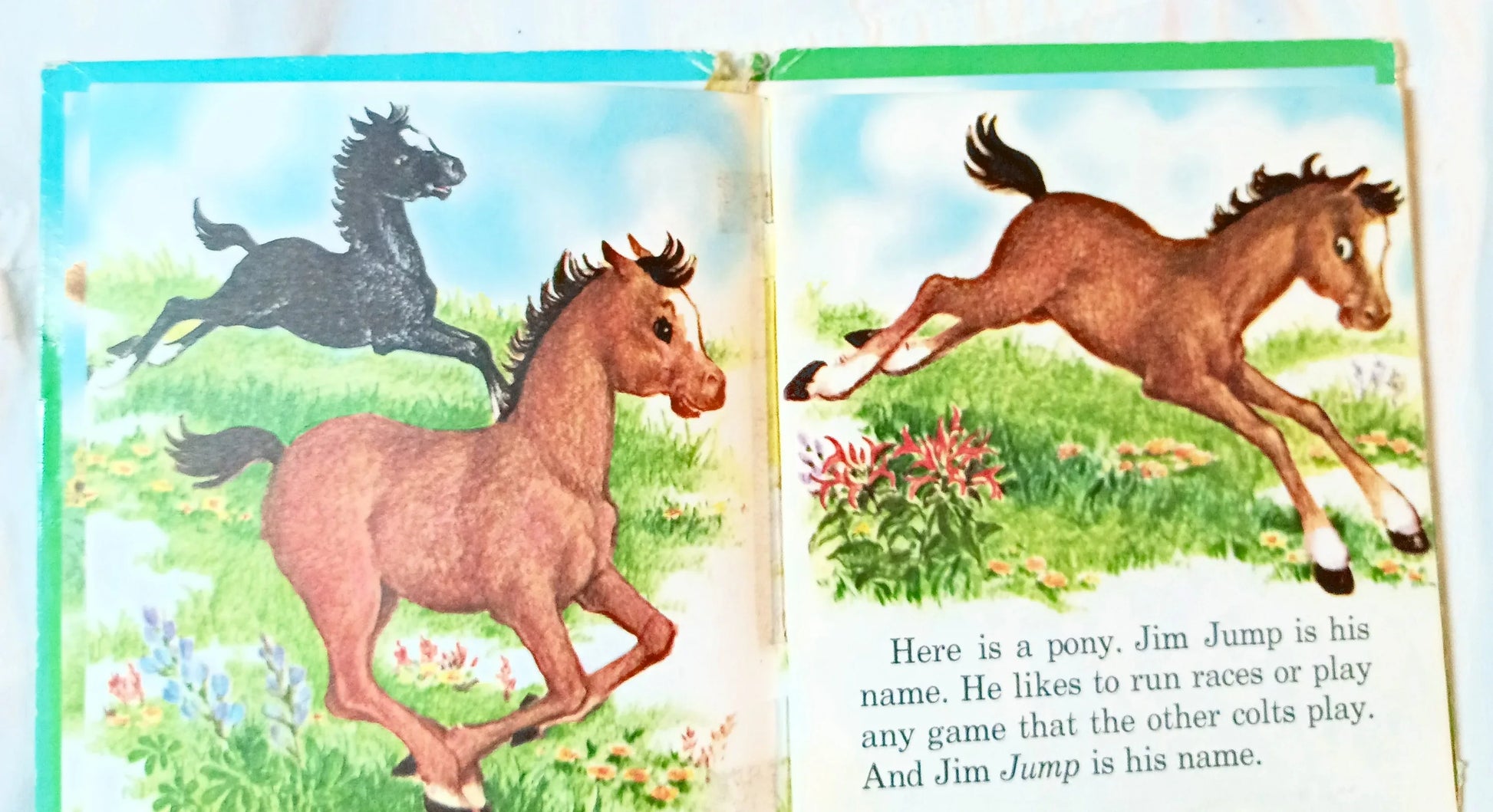 Jim Jump by Betty Ren Wright Tell-A-Tale Books Hardcover Whitman 1954 - TulipStuff