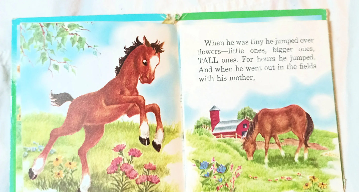 Jim Jump by Betty Ren Wright Tell-A-Tale Books Hardcover Whitman 1954 - TulipStuff